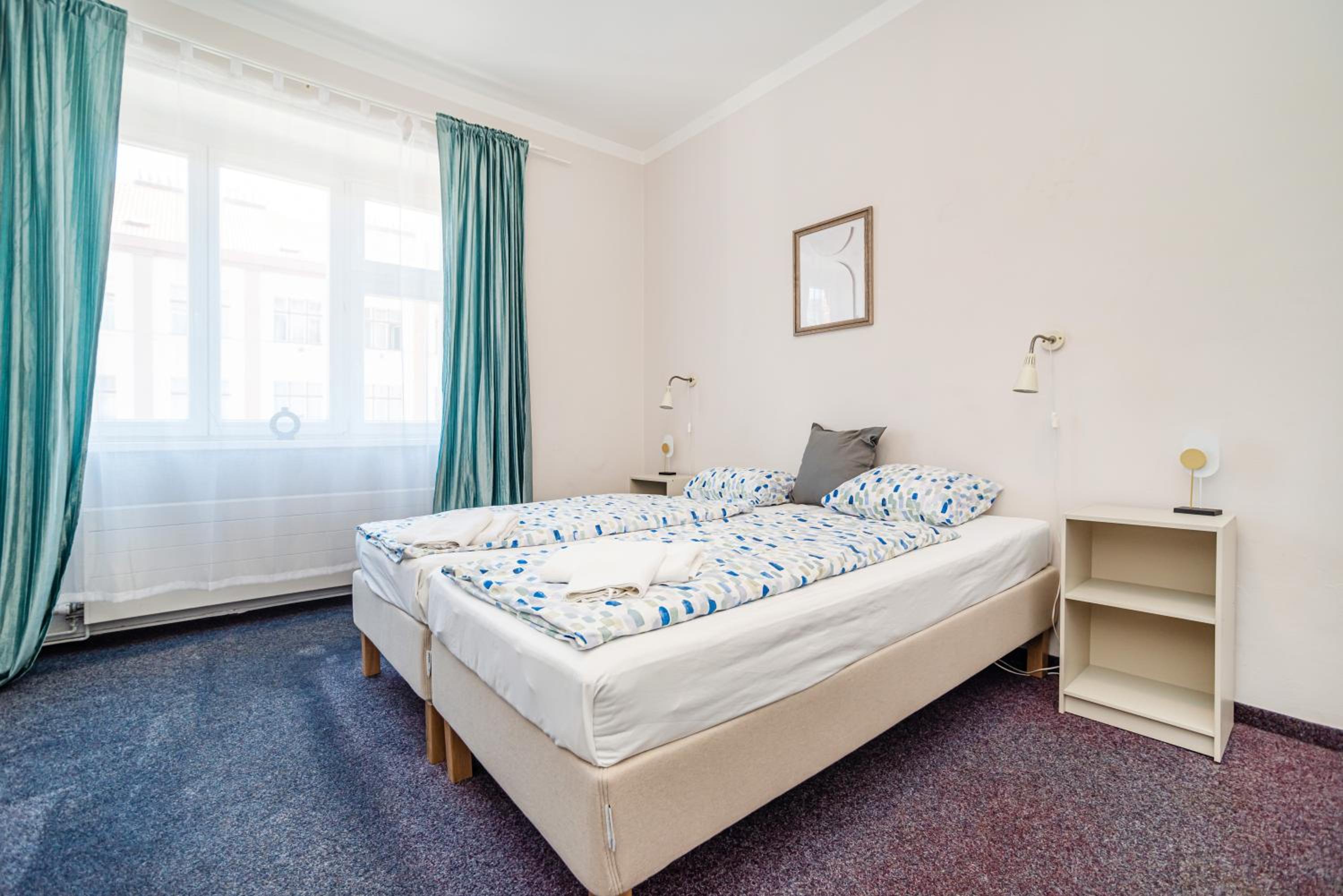 Flat in Zizkov -303-