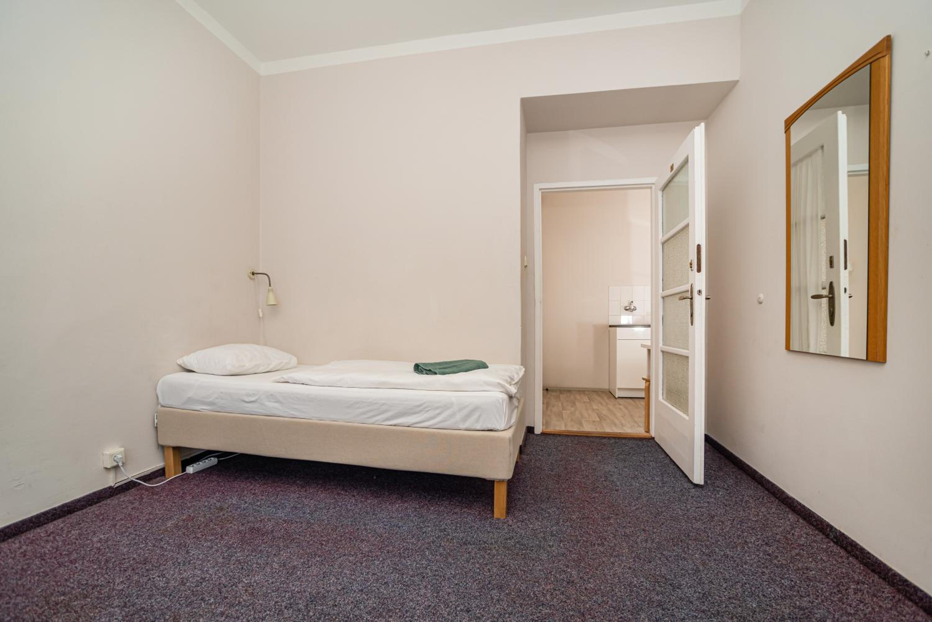 Flat in Zizkov -303-