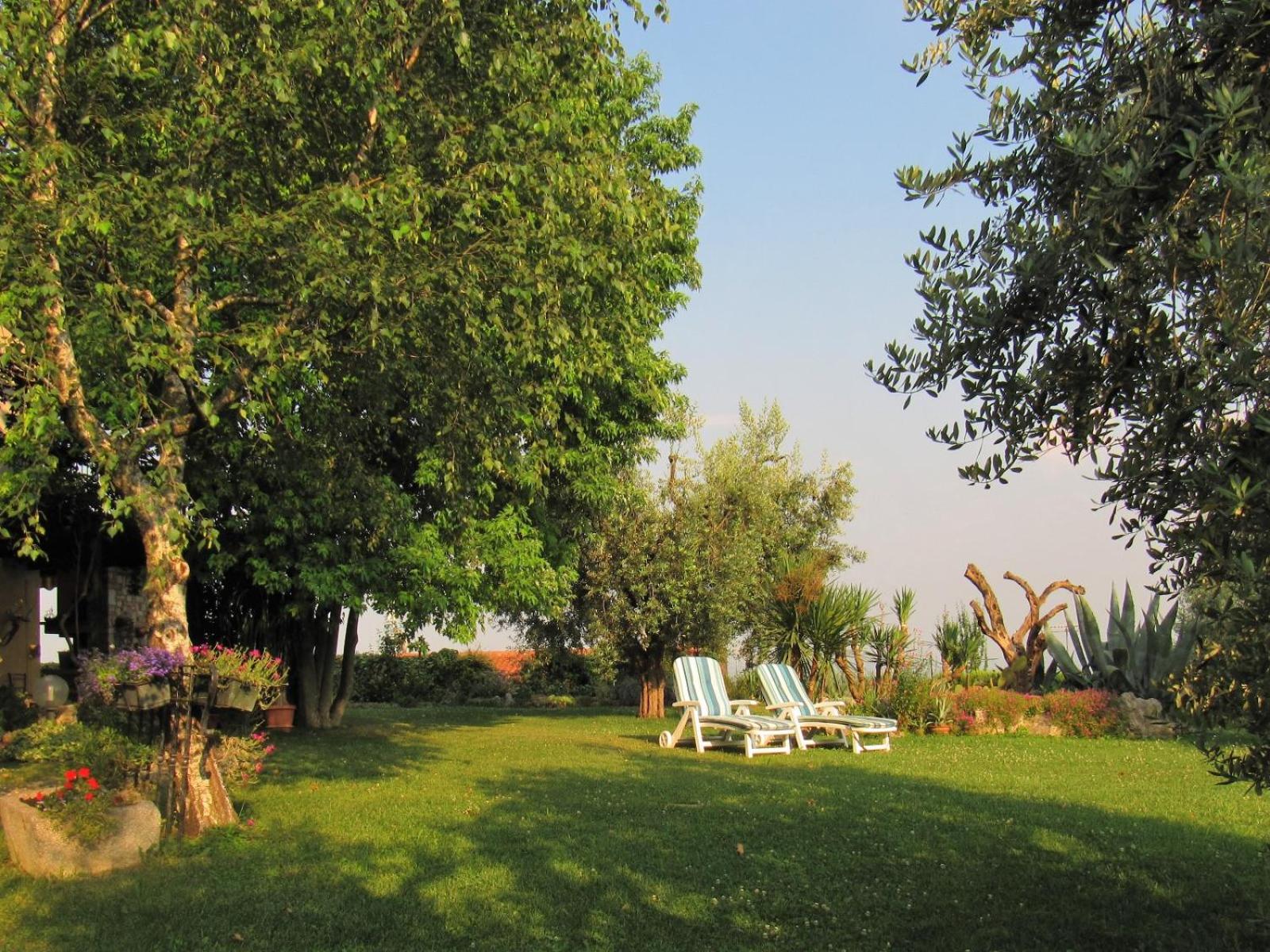 Terrazze sul Garda by Garda FeWo