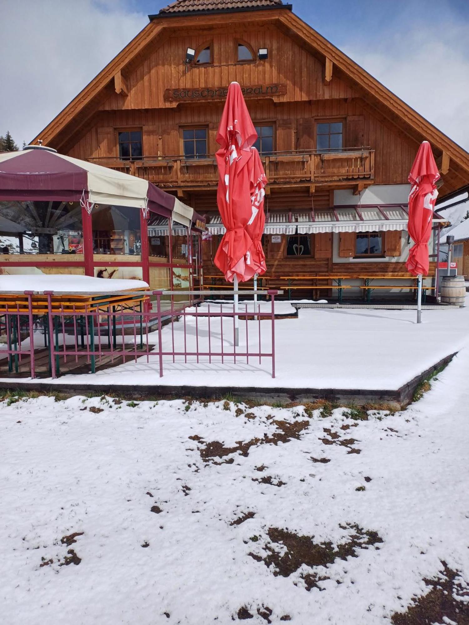 Sauschneideralm