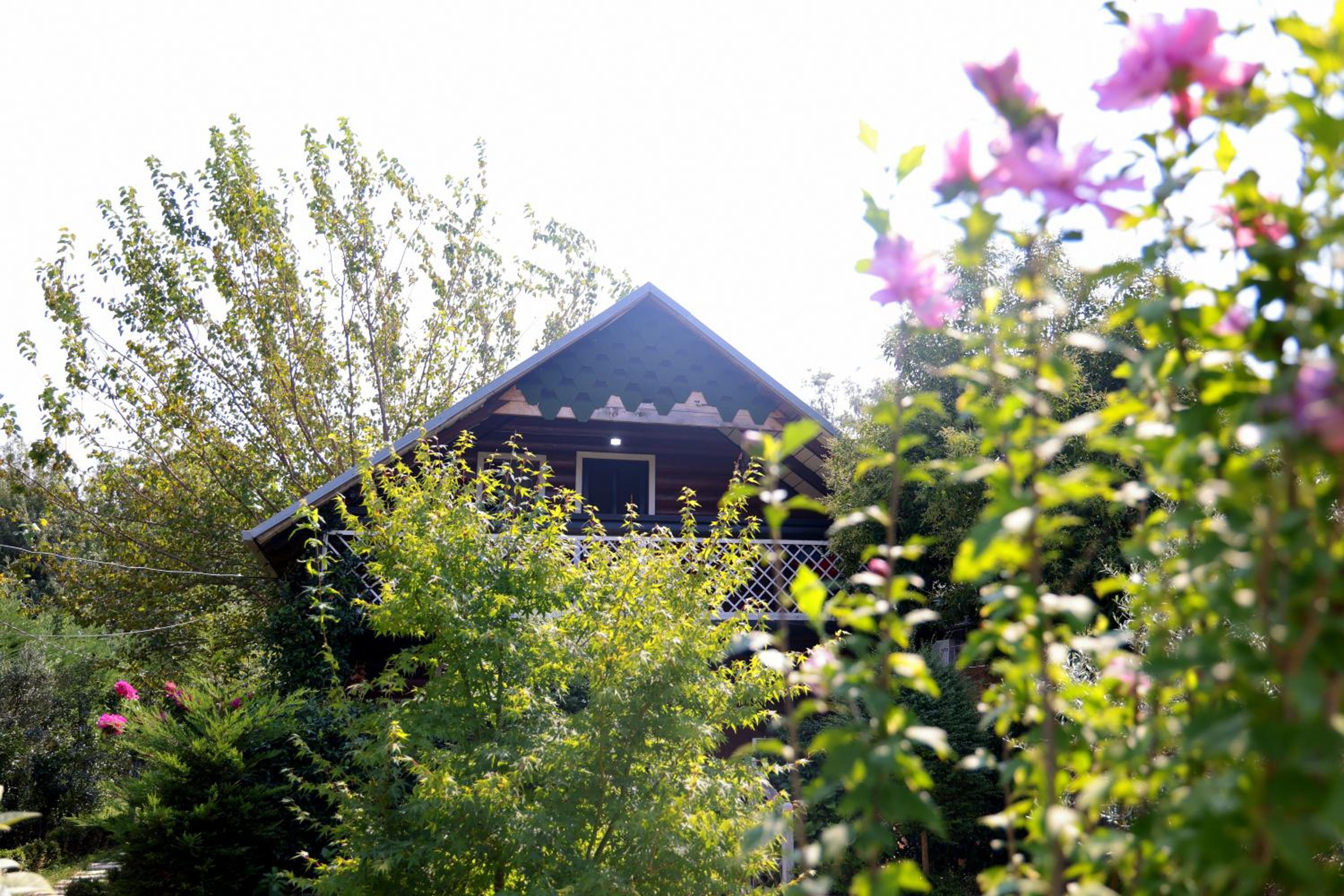 Velipoja Private Chalet