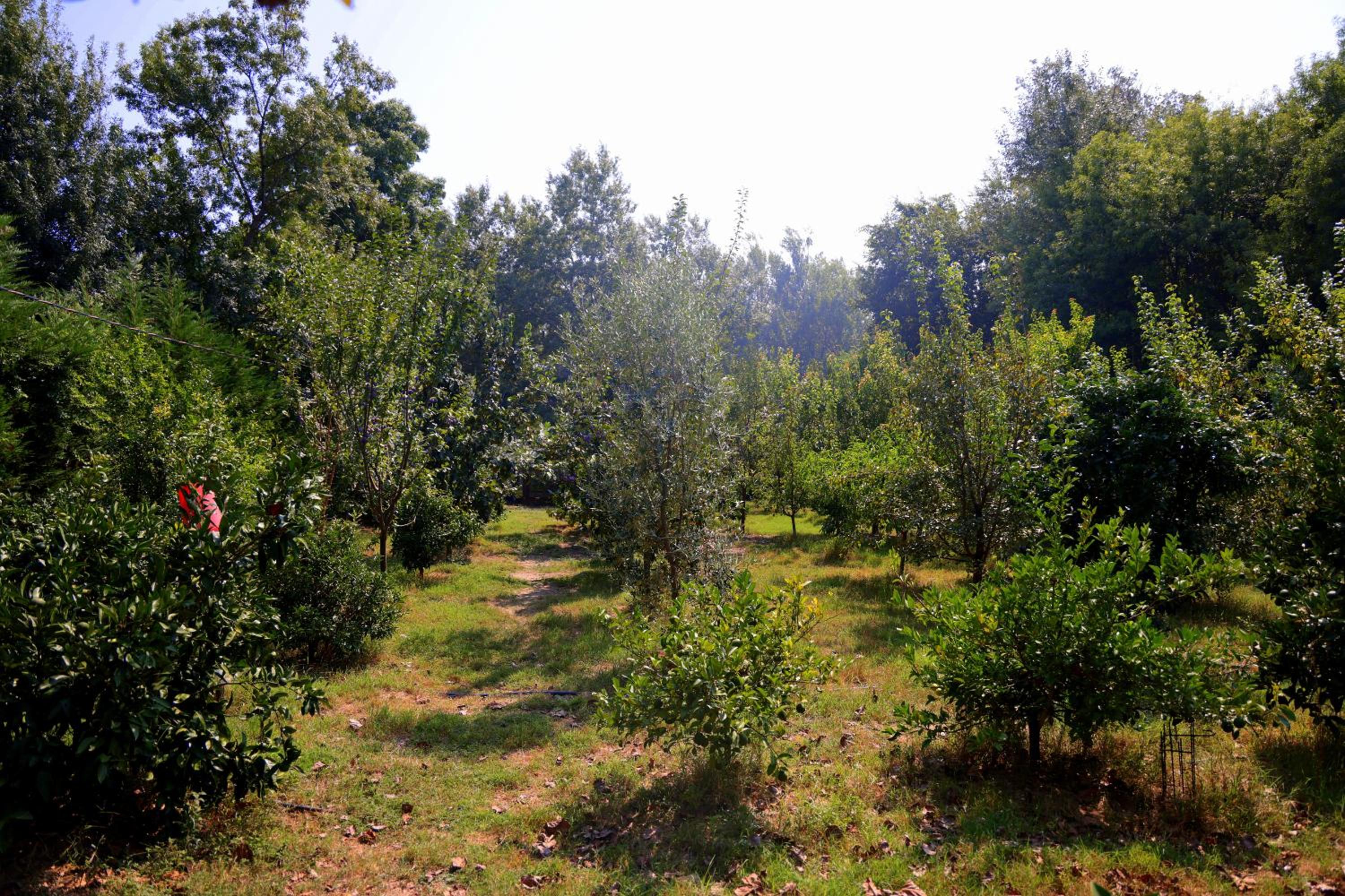 Velipoja Private Chalet