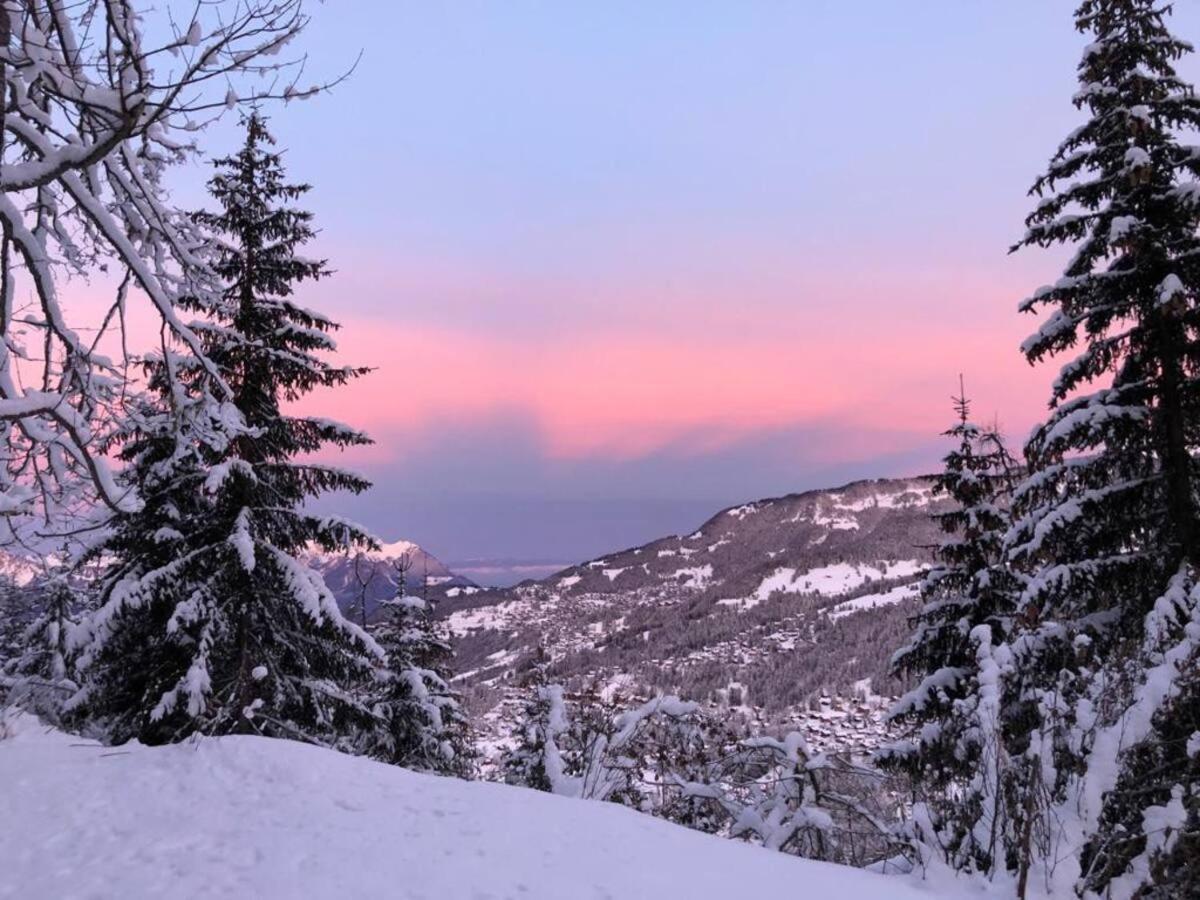 Alpina Gardens Boutique in Villars-Gryon