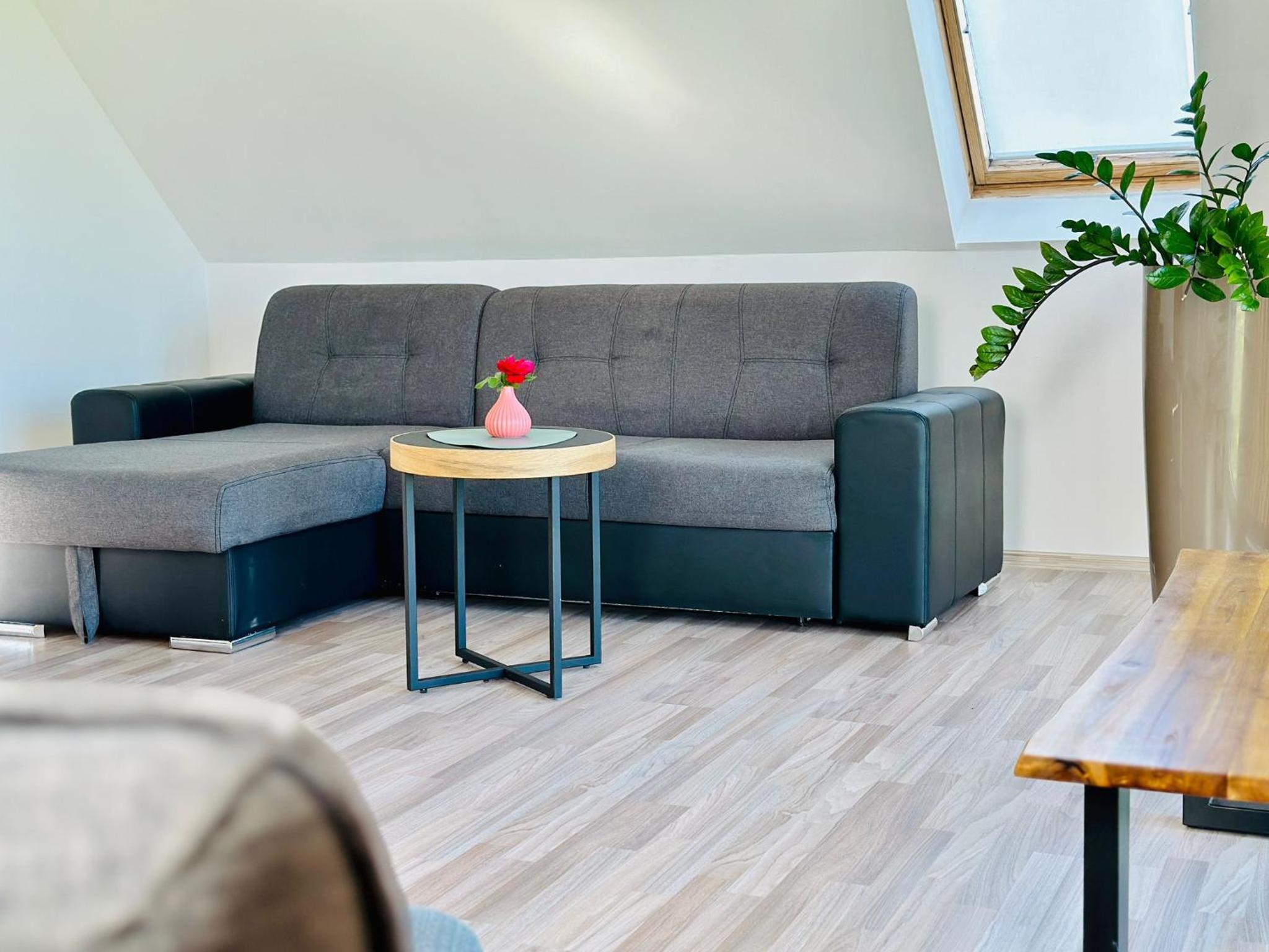 Großzügige 100 m2 Wohnung mit Terrasse