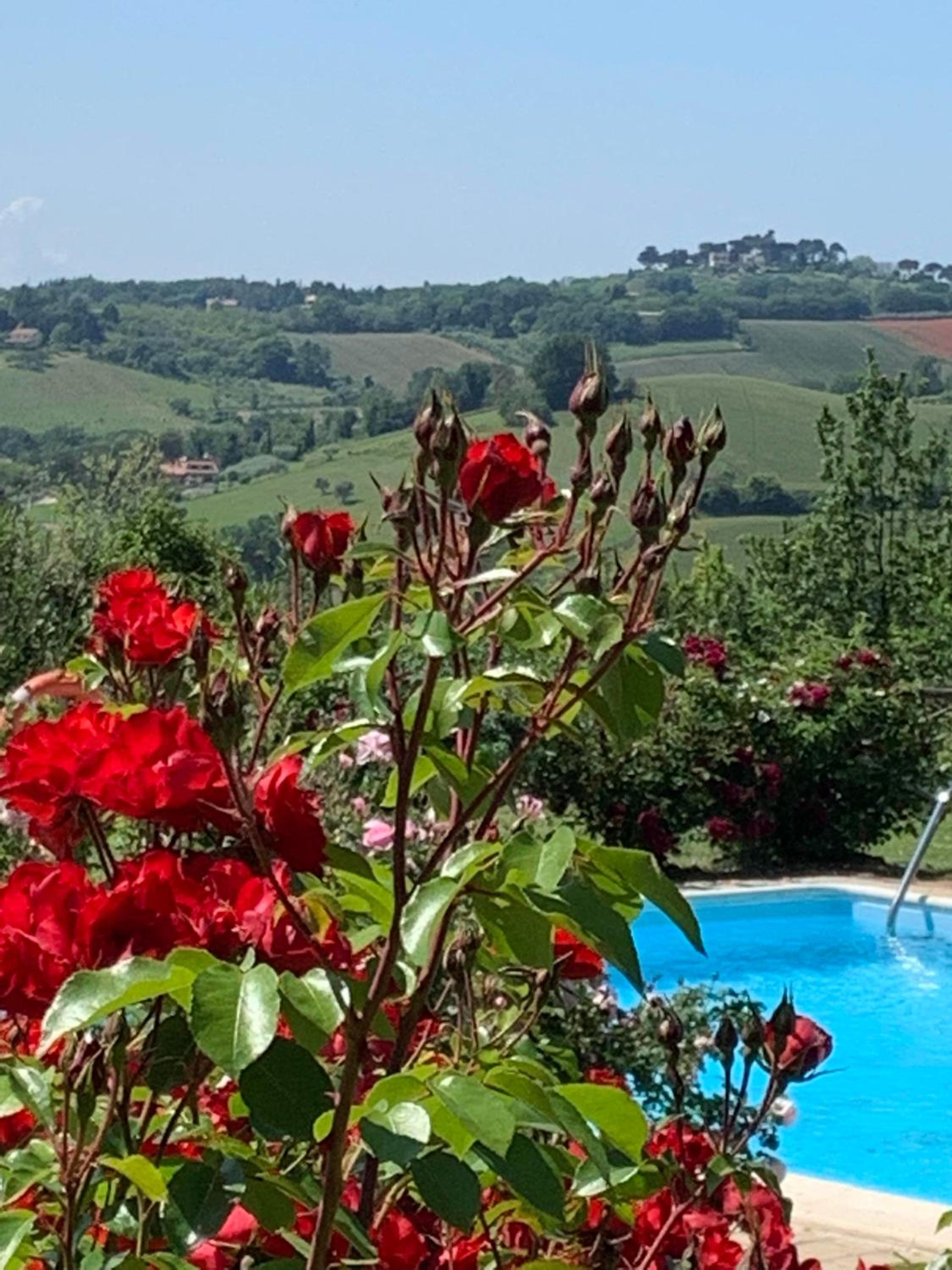 Agriturimo Cà Dorale