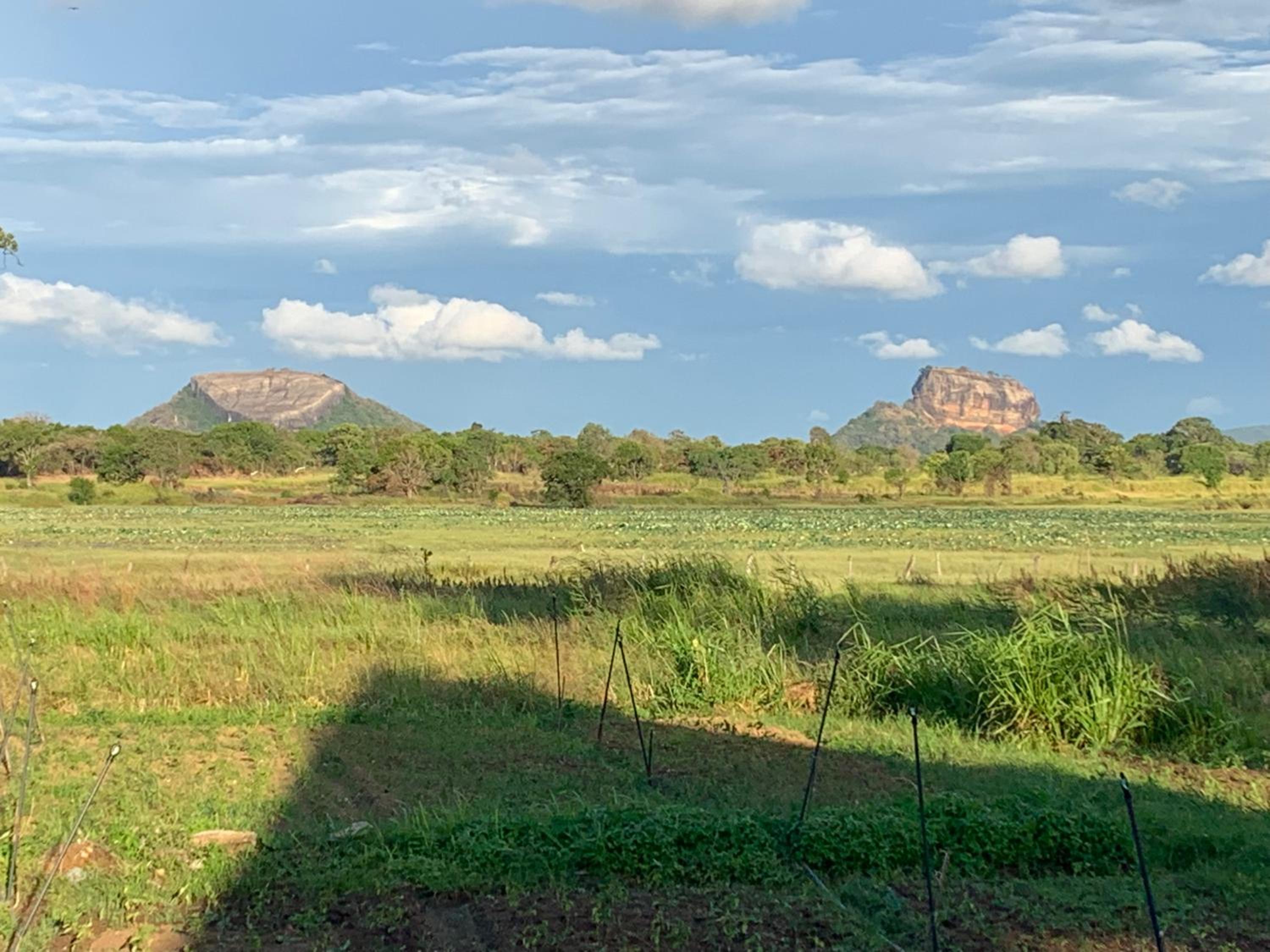 Linwewa Villa, Sigiriya