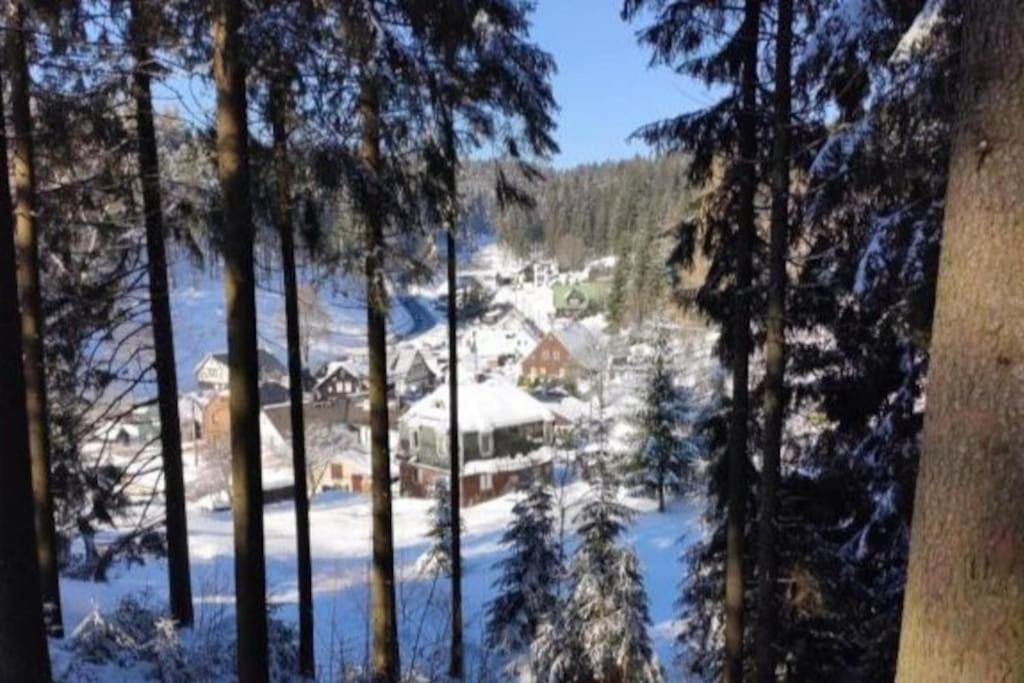 Romantisches Rückzugsnest - Waldidylle und Bergblick