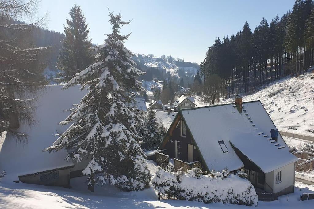 Romantisches Rückzugsnest - Waldidylle und Bergblick