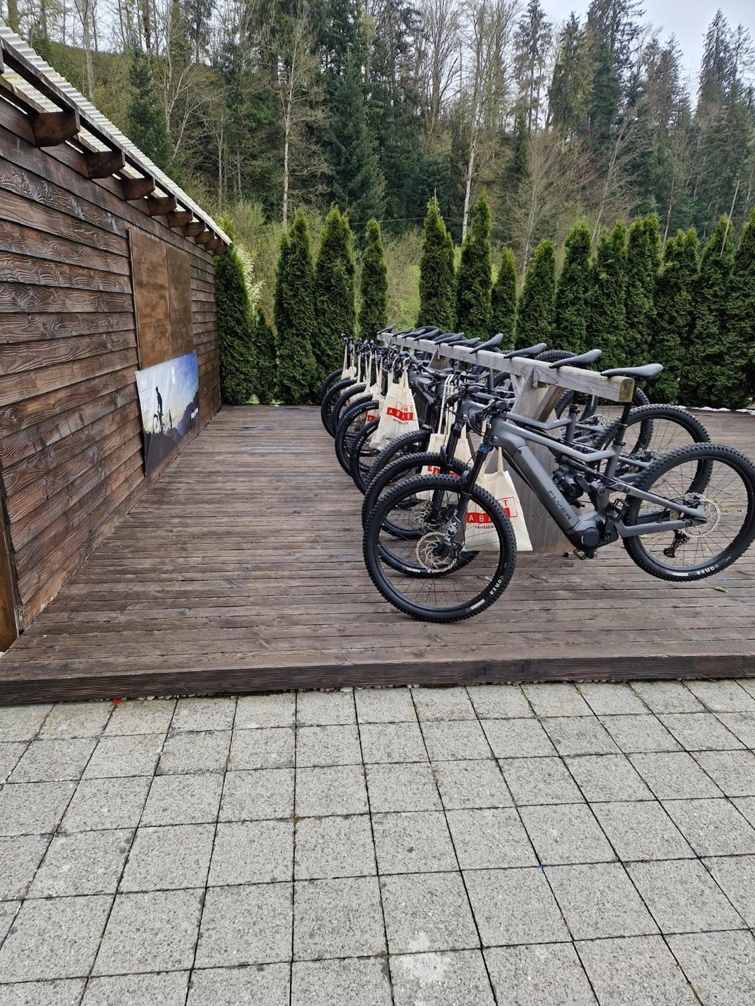 Bühl 3