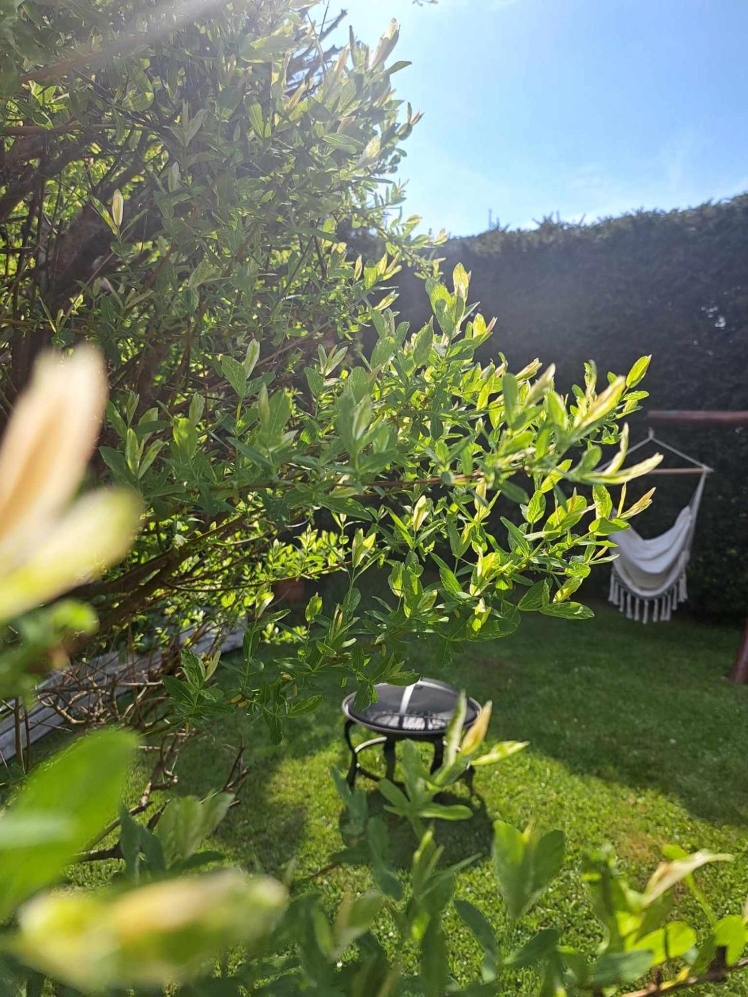 Apartamenty Maja