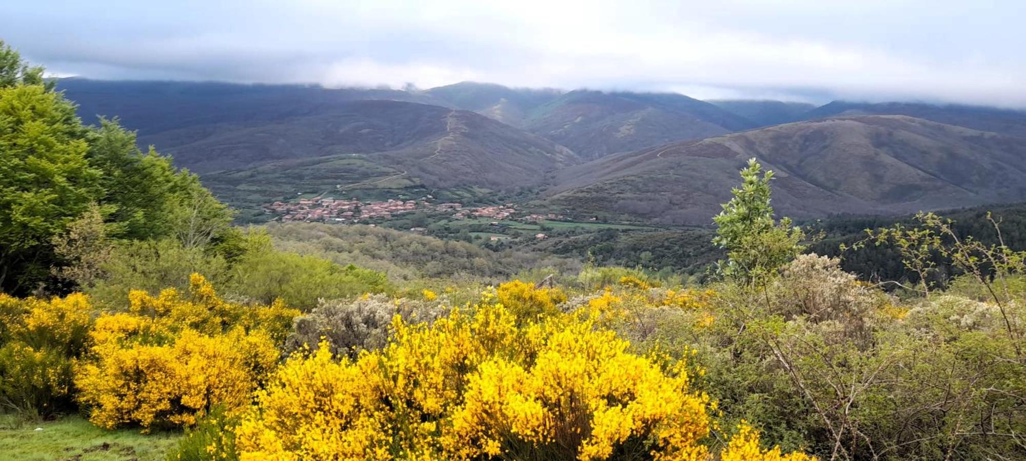 CASA RURAL EL HAYEDO view 3
