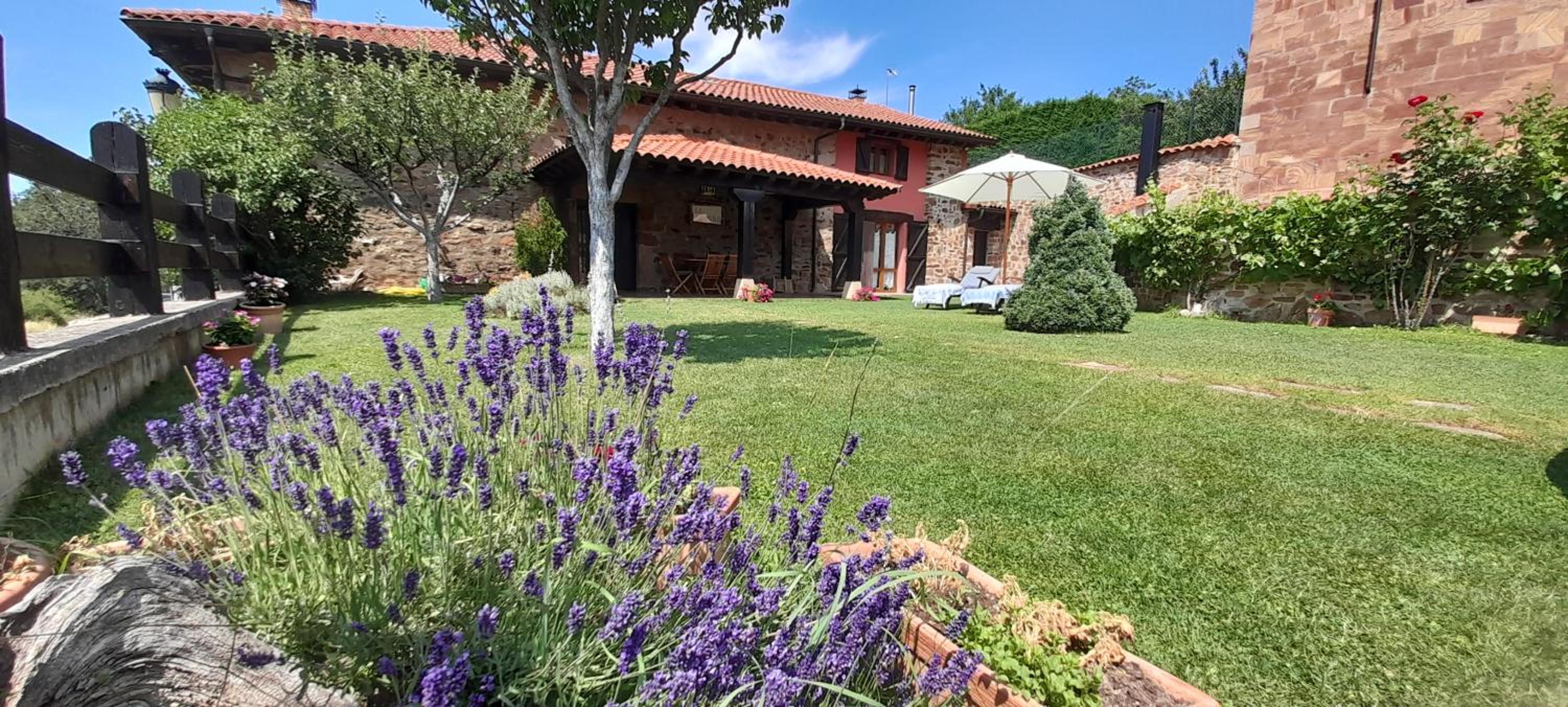 CASA RURAL EL HAYEDO view 2