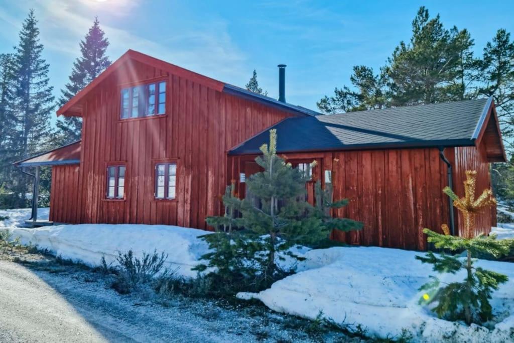 Feriehus - Hillestadheia Dølemo