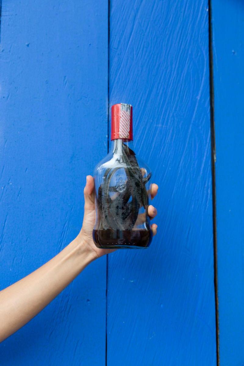 Casa Prana, Termales, Nuqui