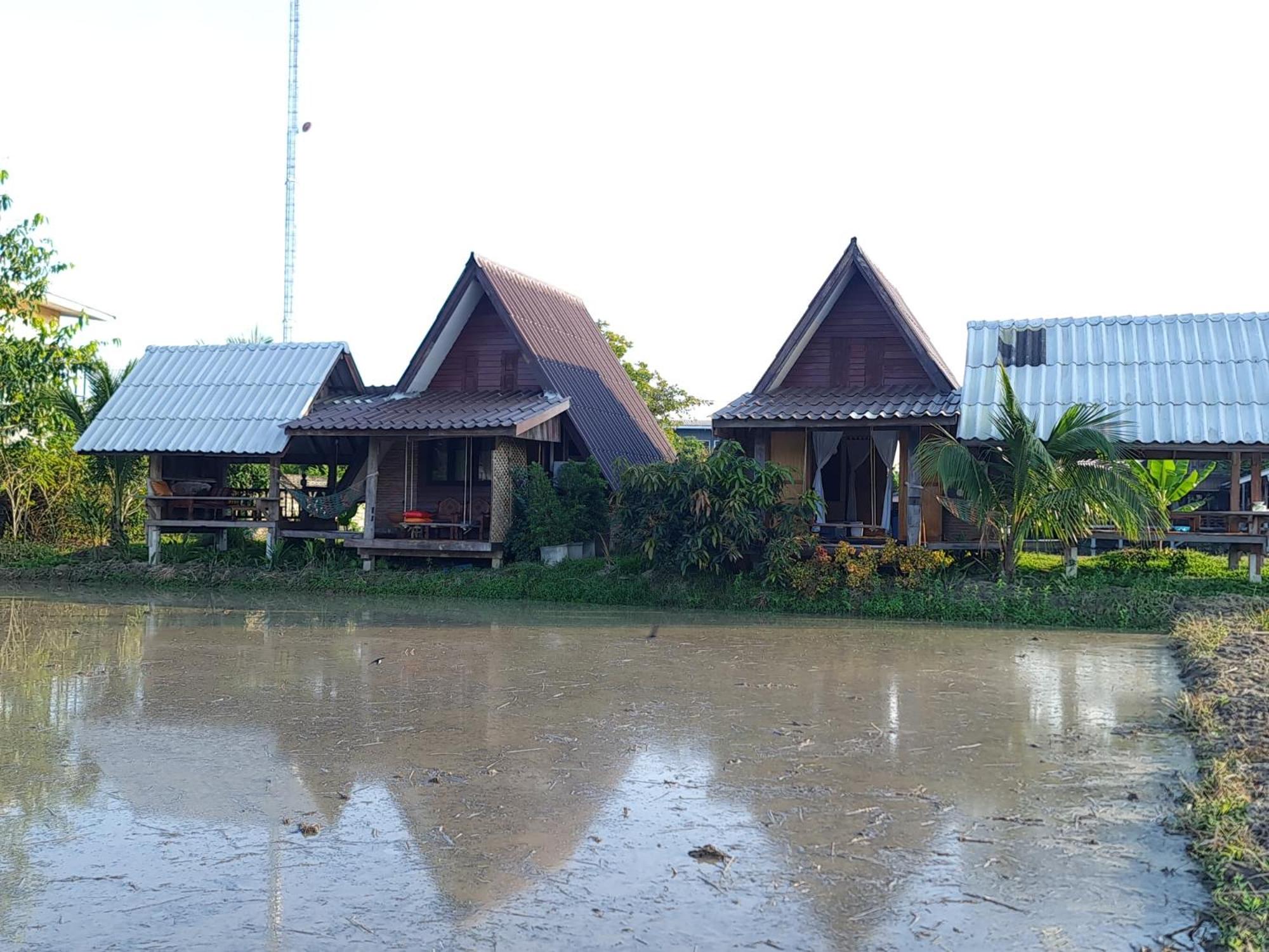 Huean Himbo view 2