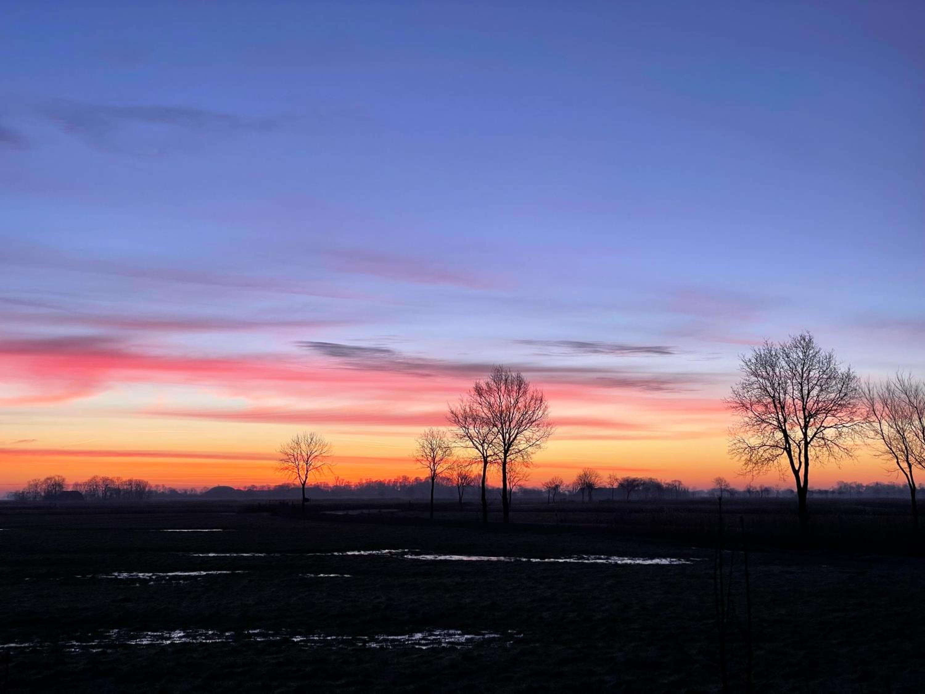 In't Noord
