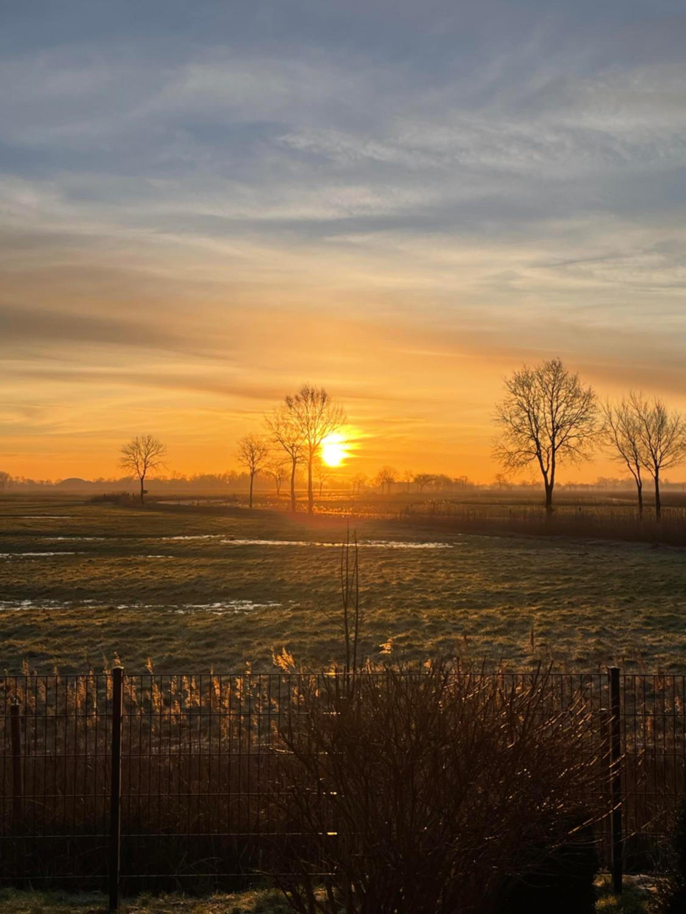In't Noord