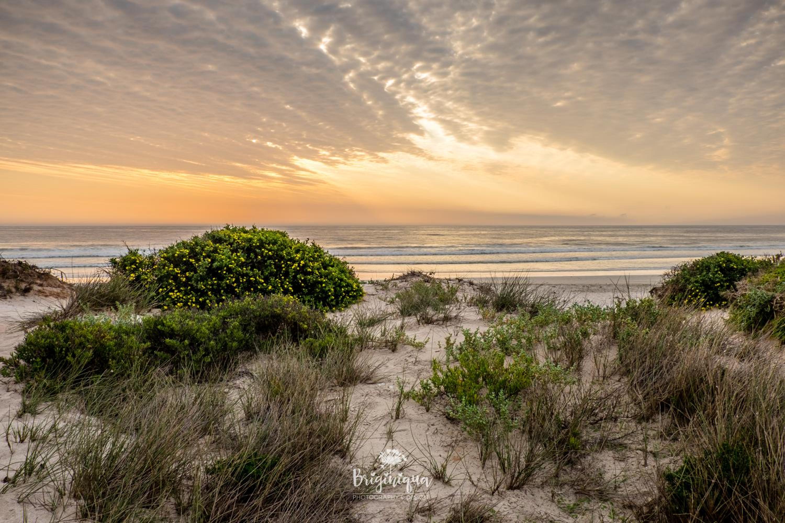 Luname`s view 4