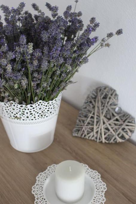 Apartment Tela