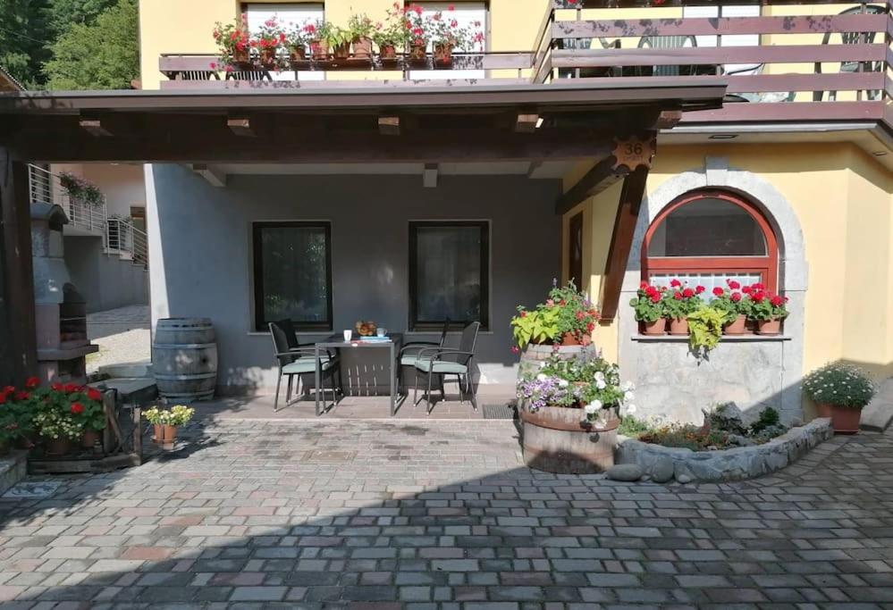 Apartment Tela