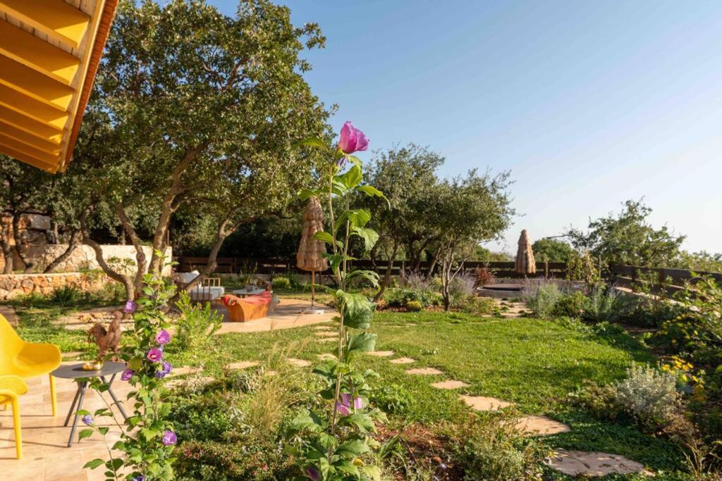 Azamra Amirim view 3