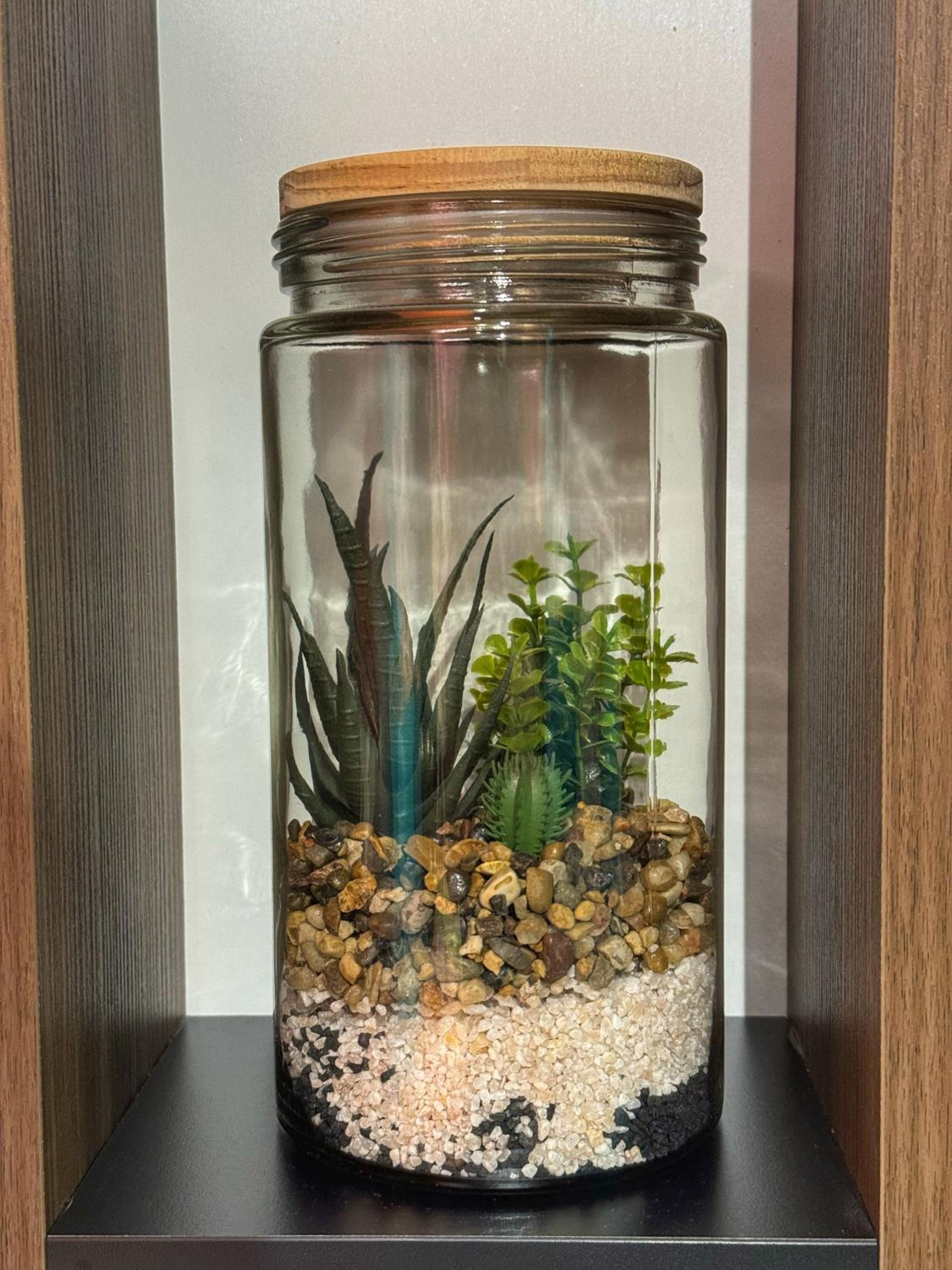 Apartment Ohana