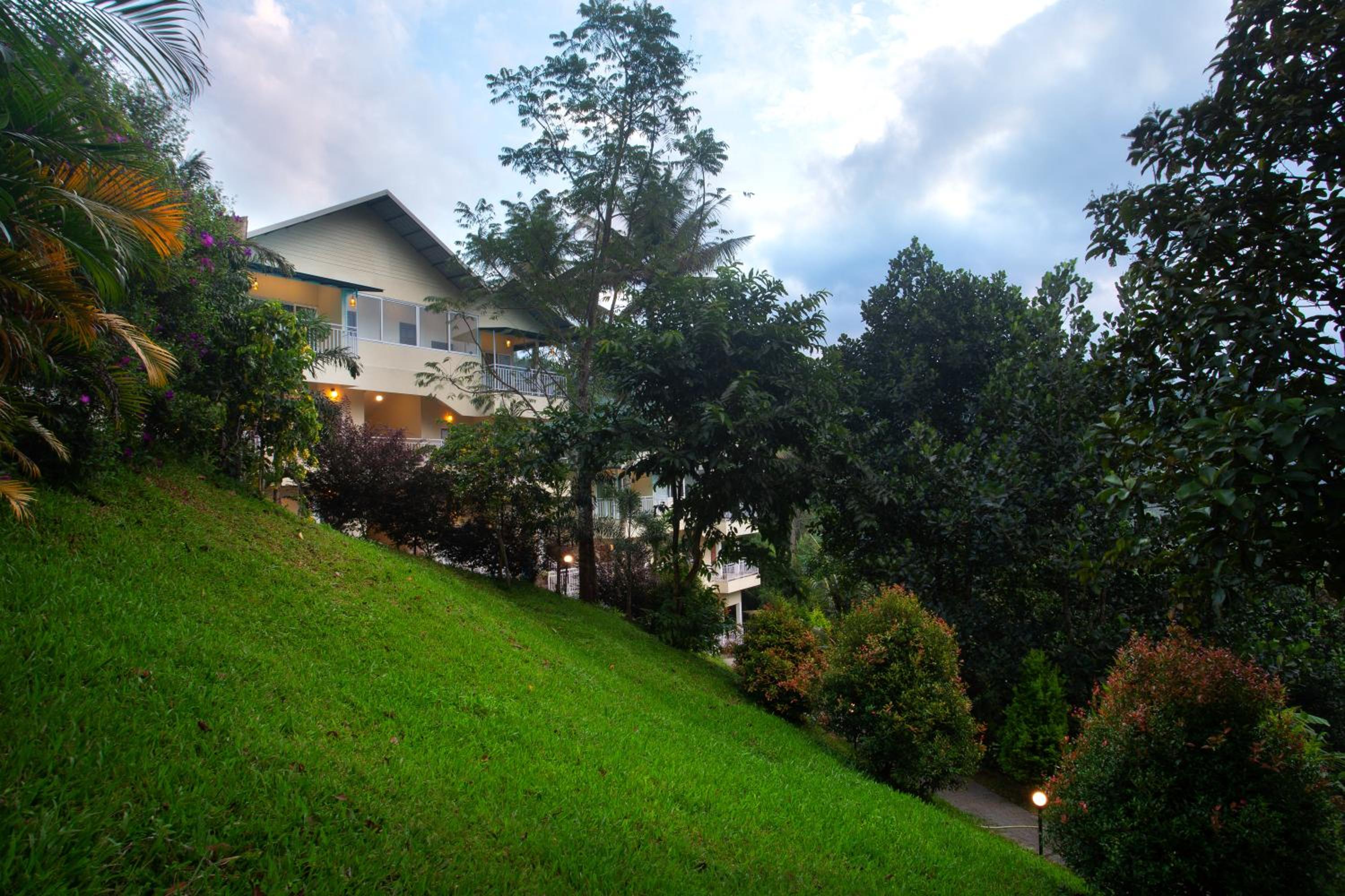 Photo 8