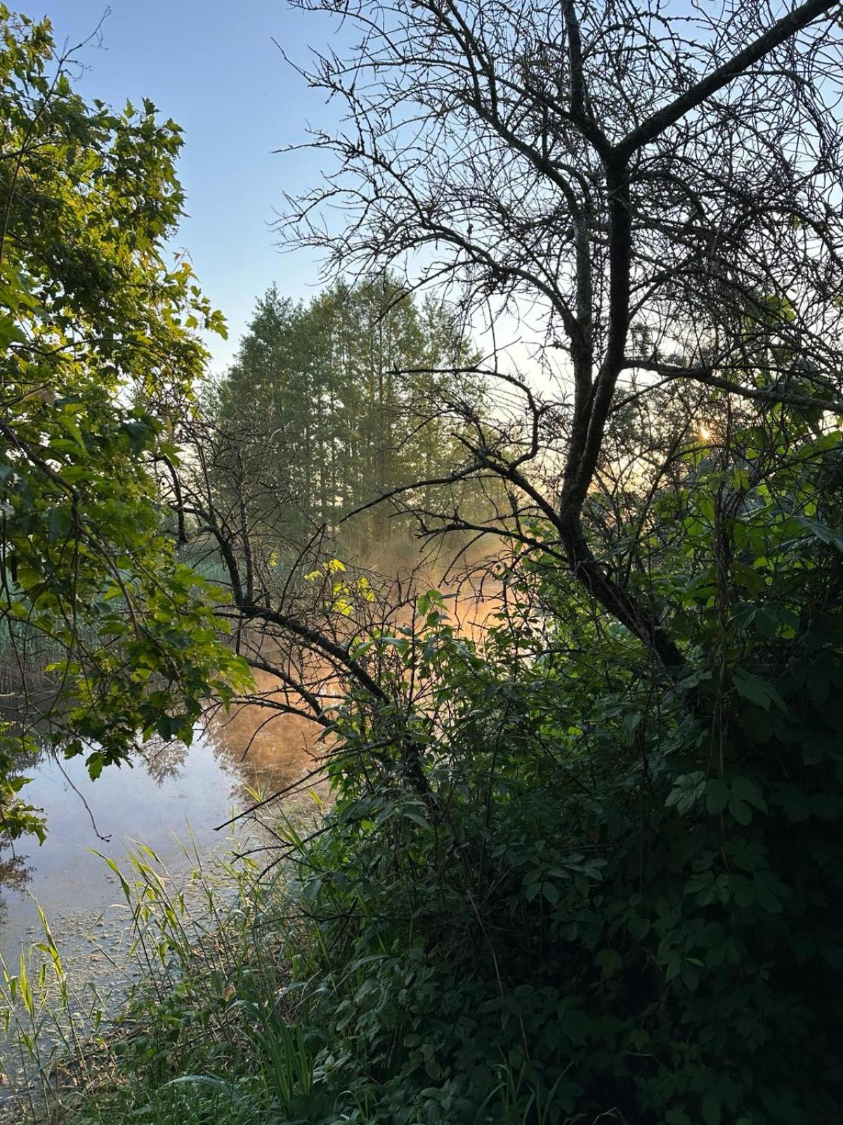 Labieši