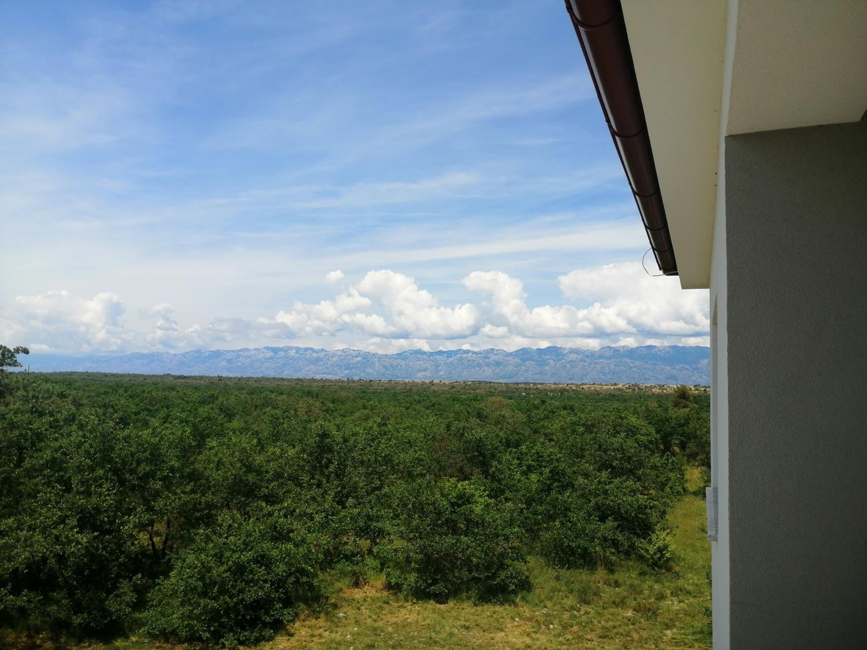 Apartment Emili