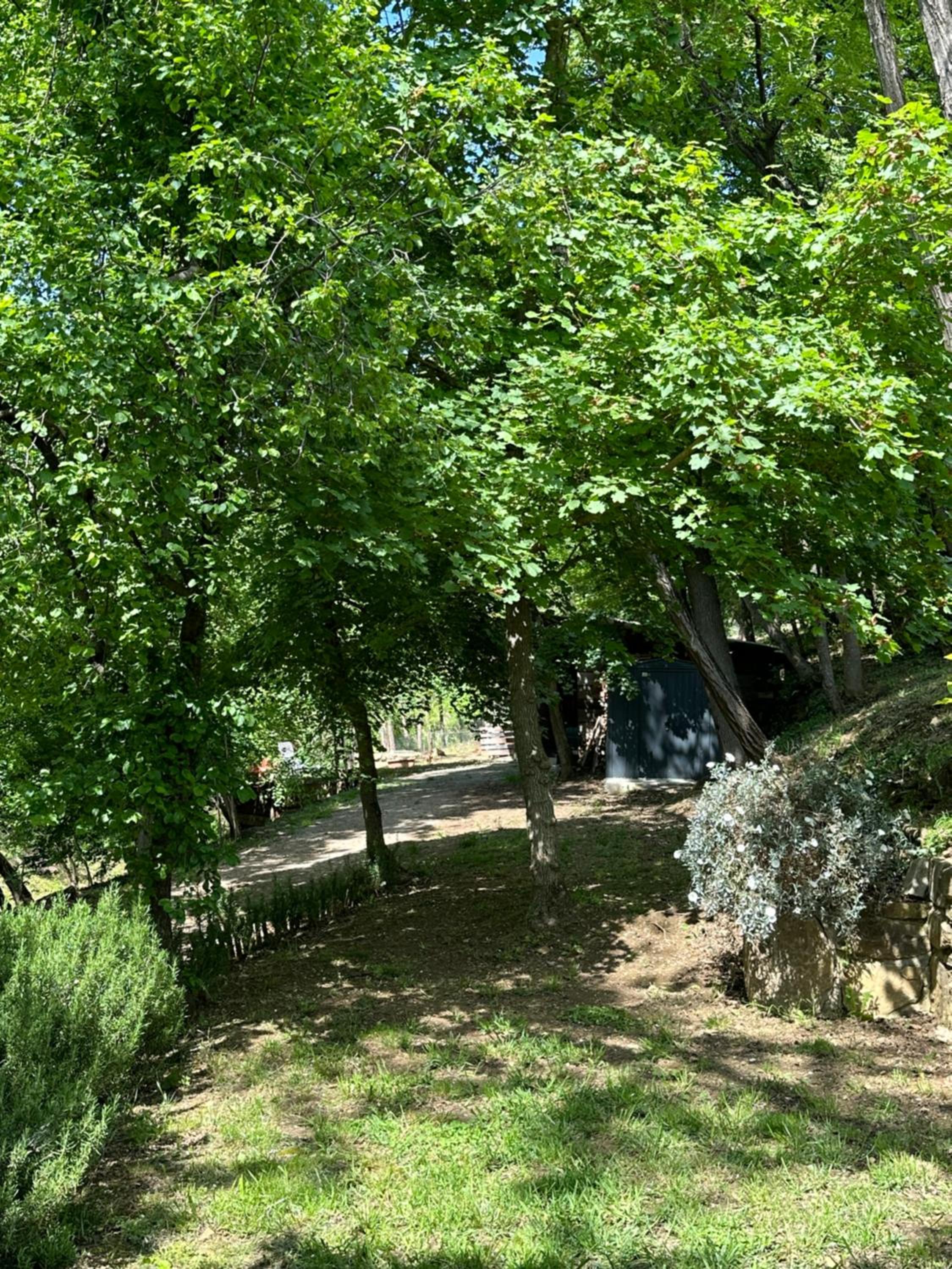 Photo 25