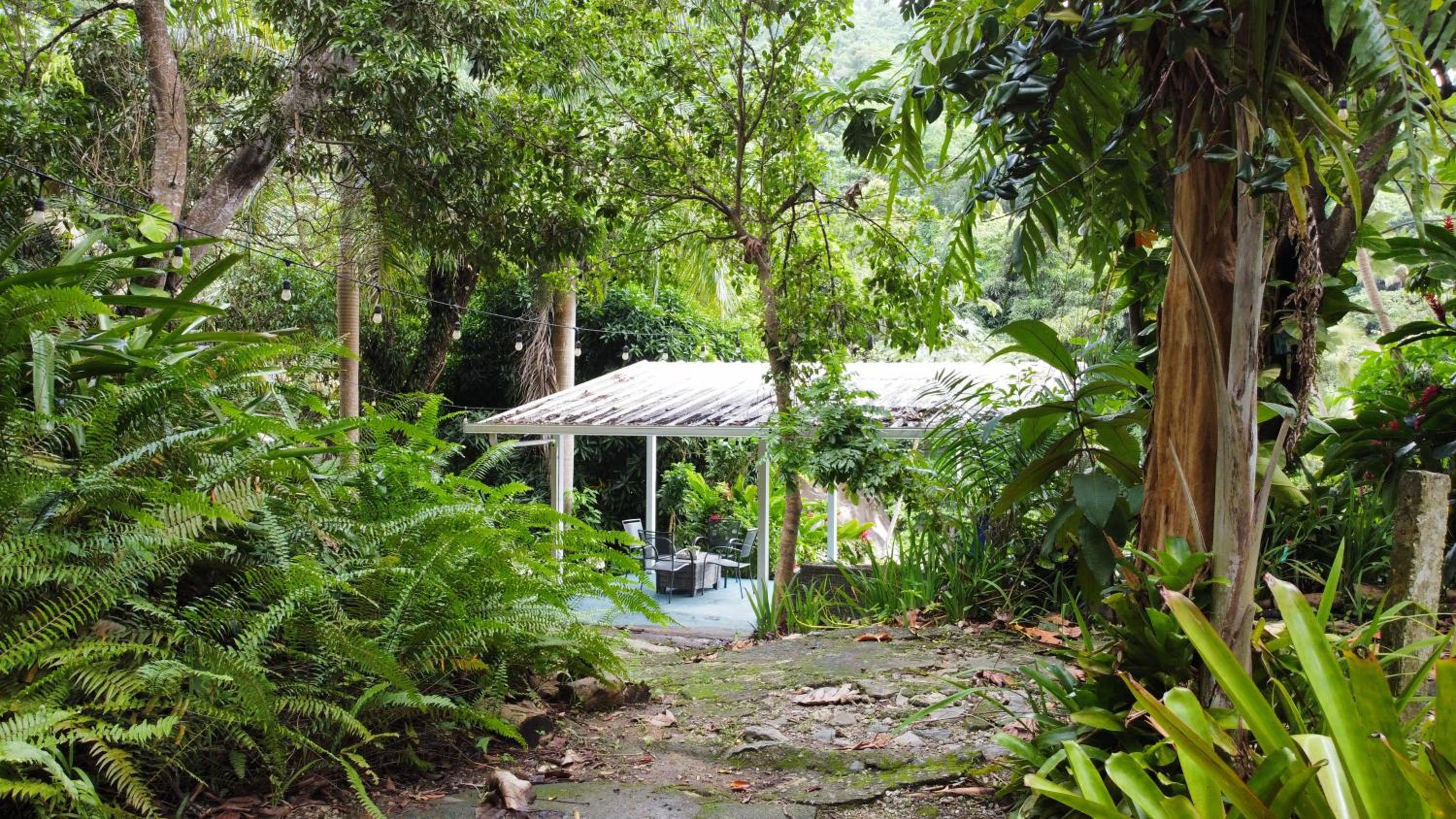 El Yunque Glamping River View at Casa Parcha view 4