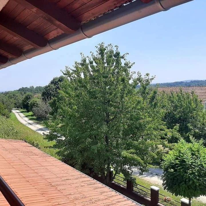 Vila Oaza mira