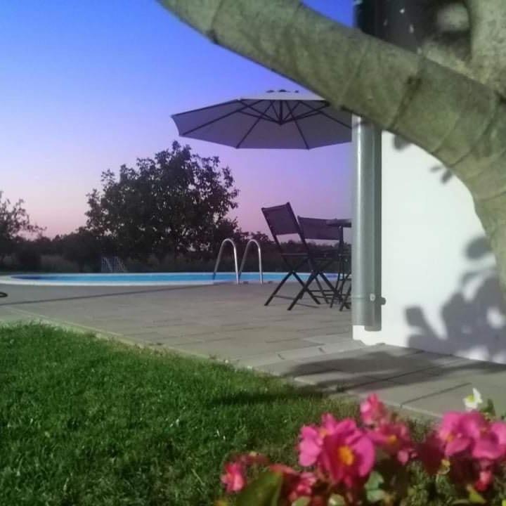 Vila Oaza mira