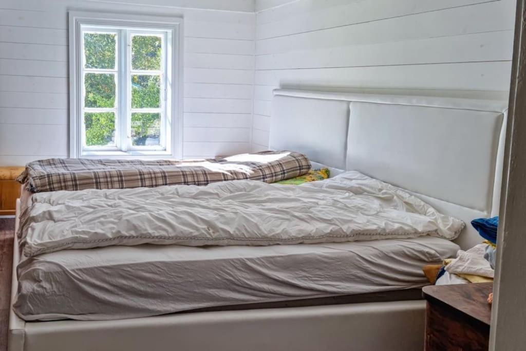 Flott hytte Bjelland Lindesnes