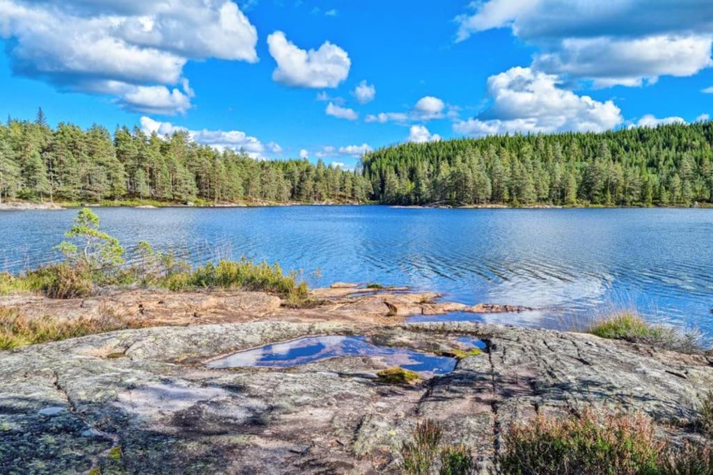 Flott hytte Bjelland Lindesnes