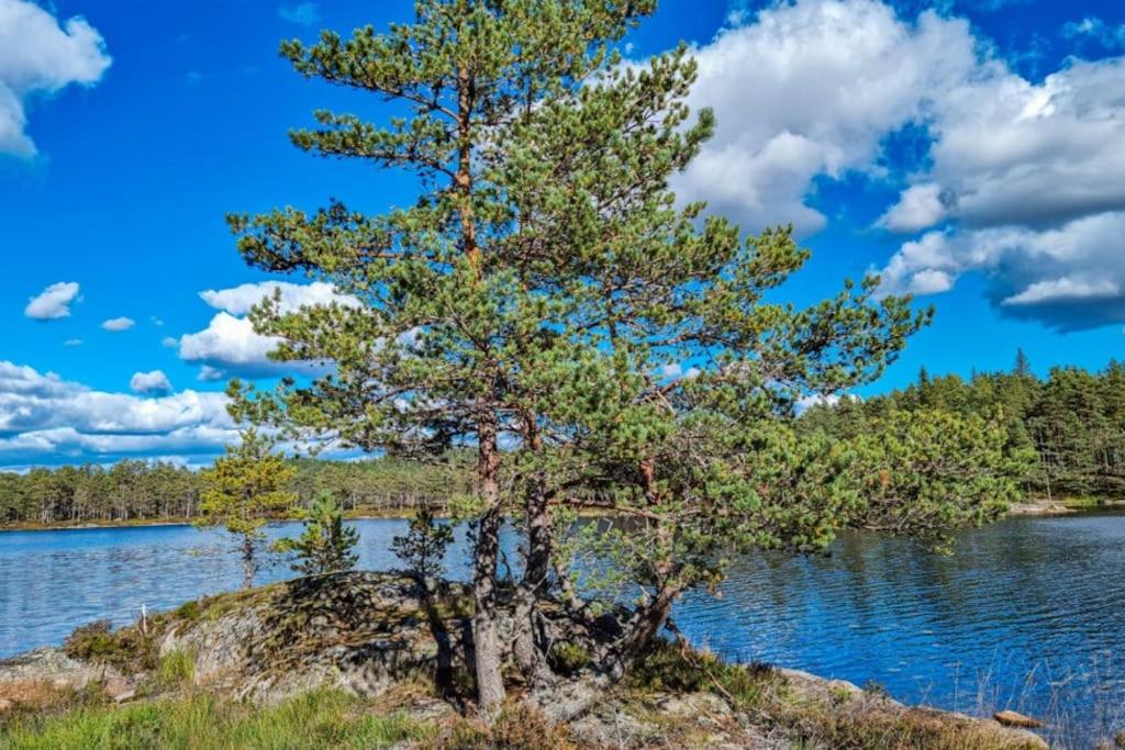 Flott hytte Bjelland Lindesnes