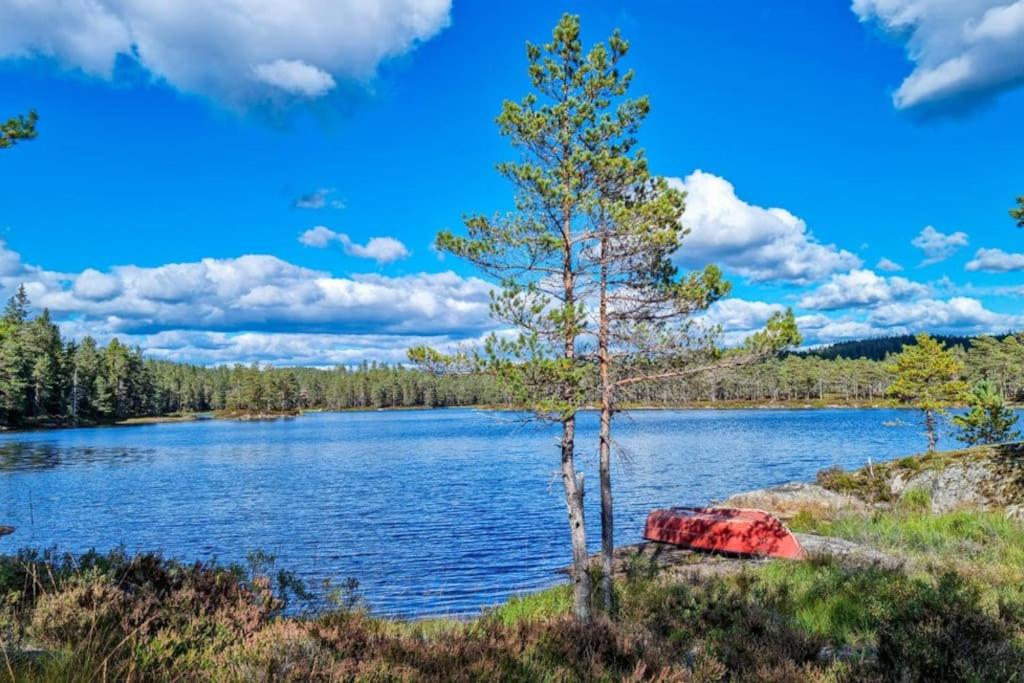 Flott hytte Bjelland Lindesnes