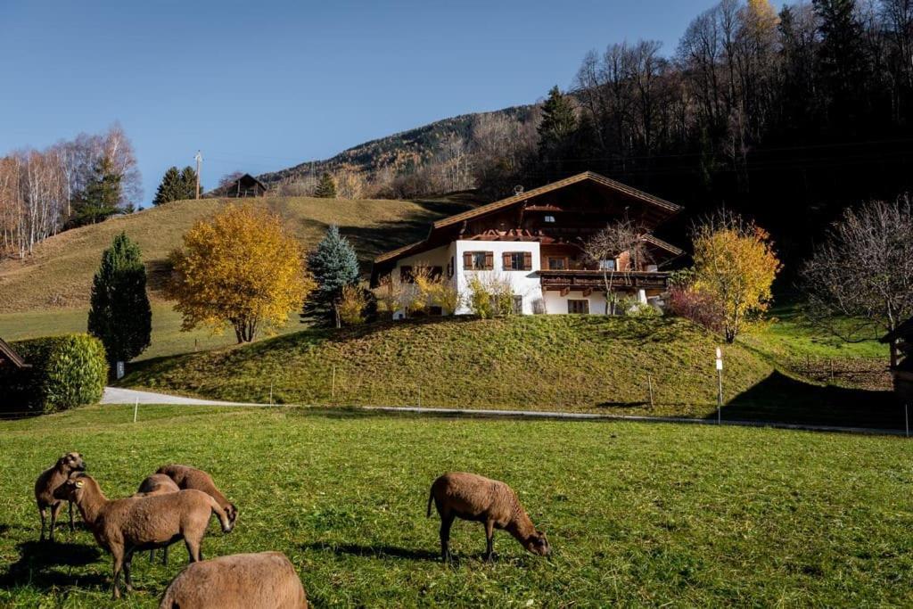 Ferienhaus Pitztal