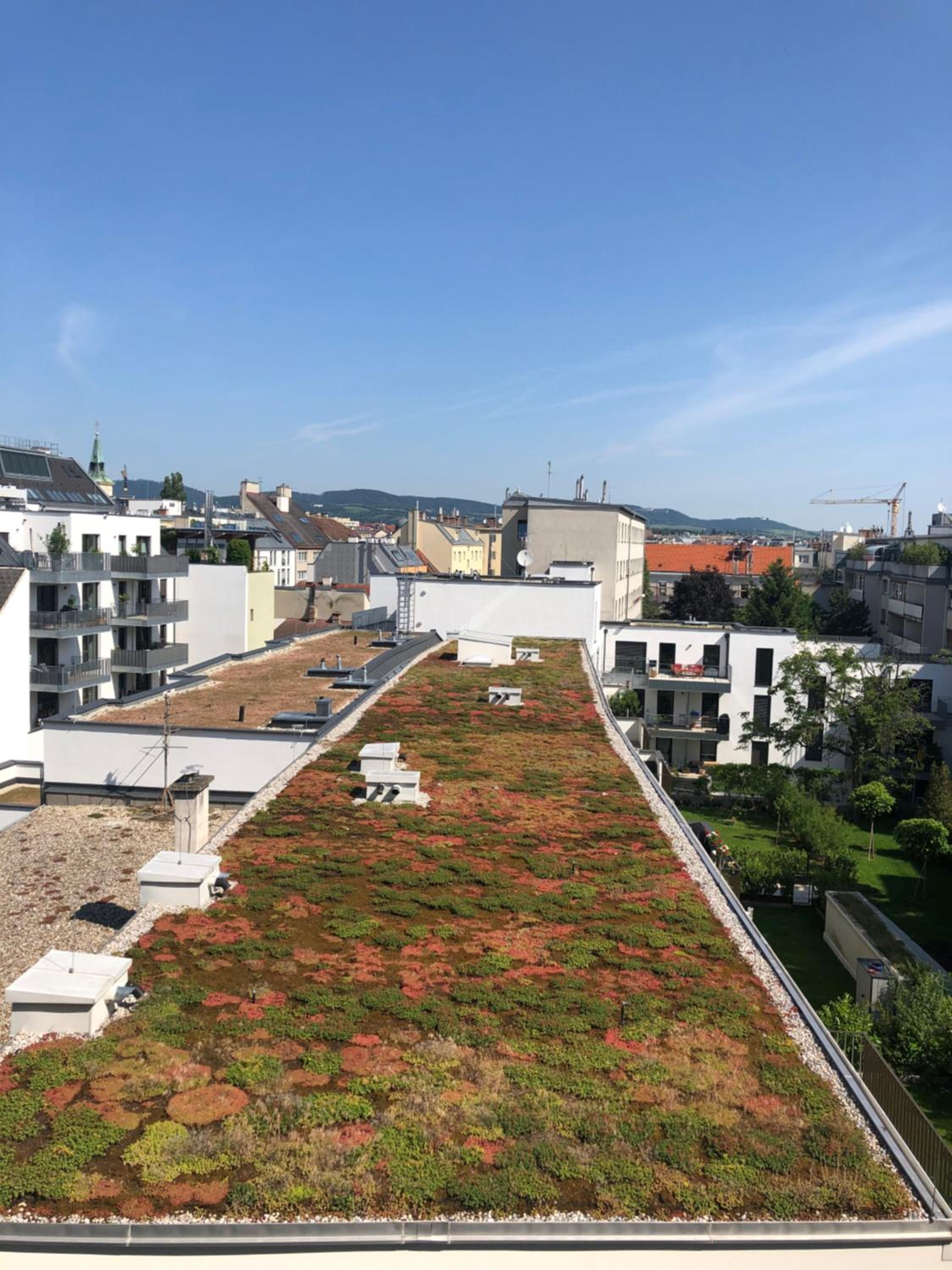 Vienna Sunny Side Up Apartments