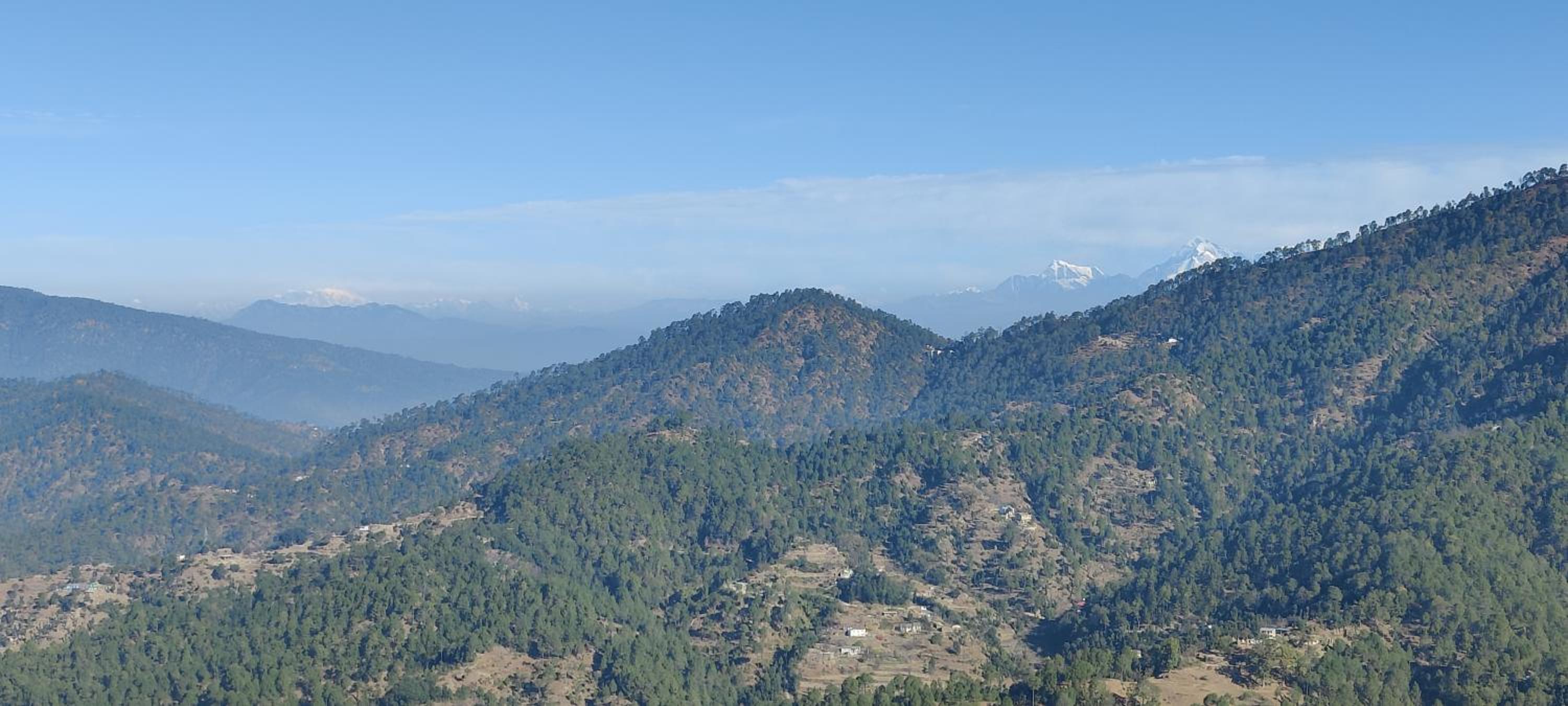 Pushpanjali The Orchid Resort