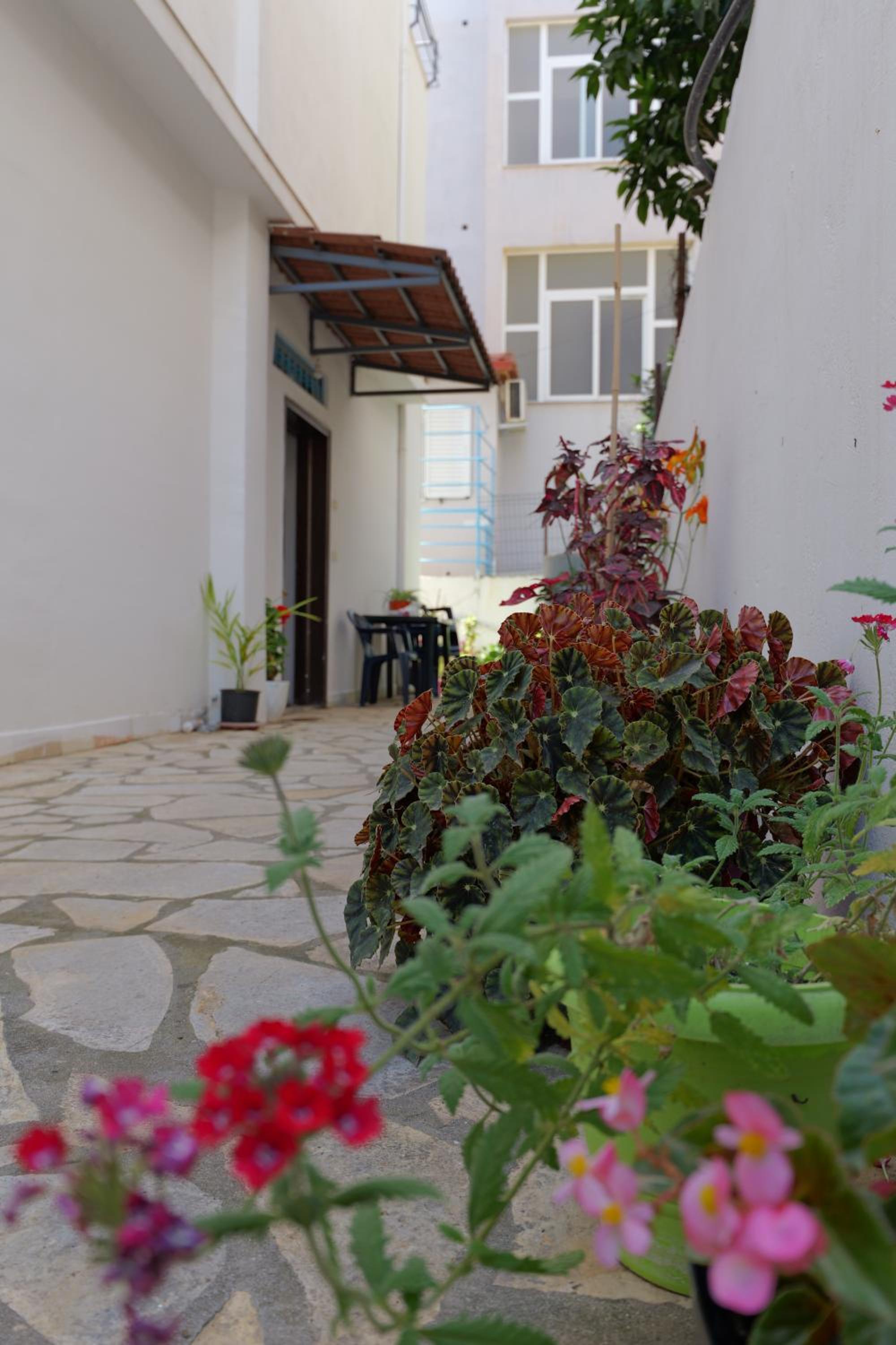 Vila Kuca