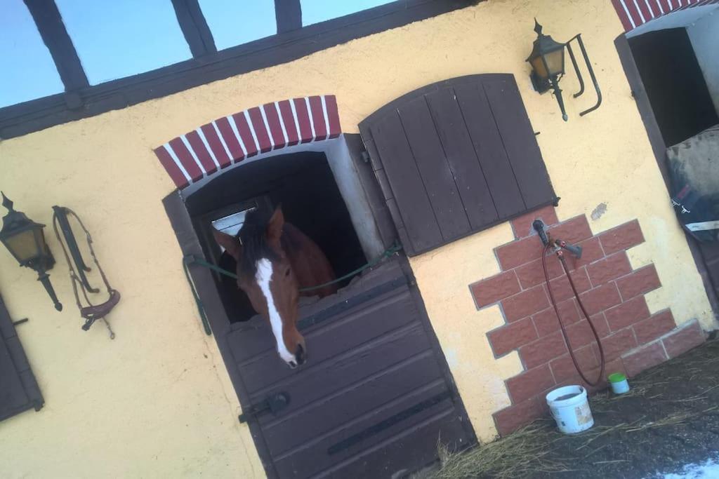 Etzauer Mühle im Taunus, Mensch-Zeit-Pferd