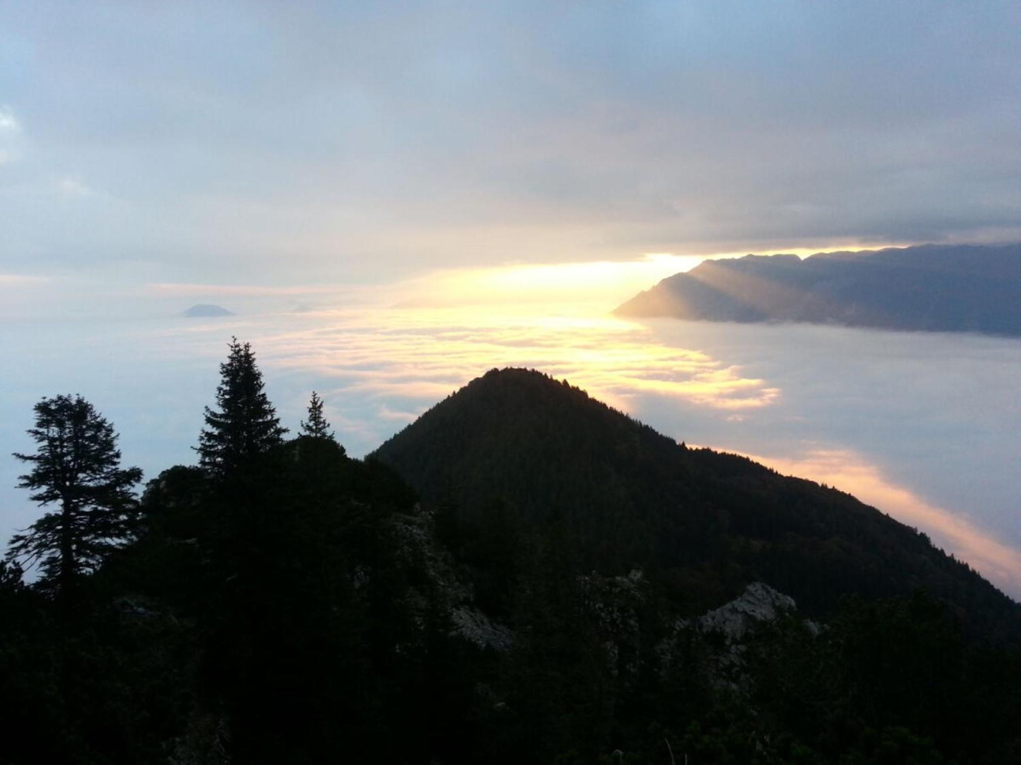 Ferienwohnung Alpenrose