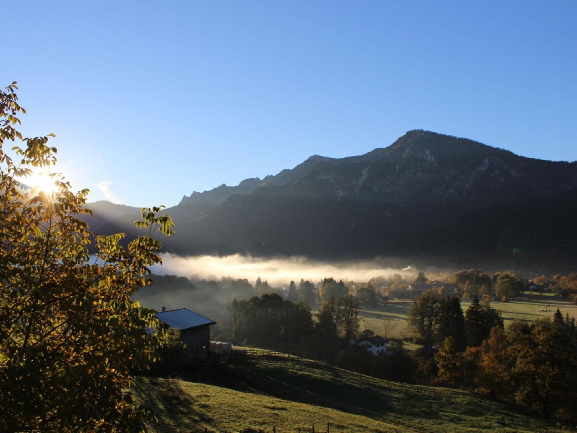 Ferienwohnung Alpenrose