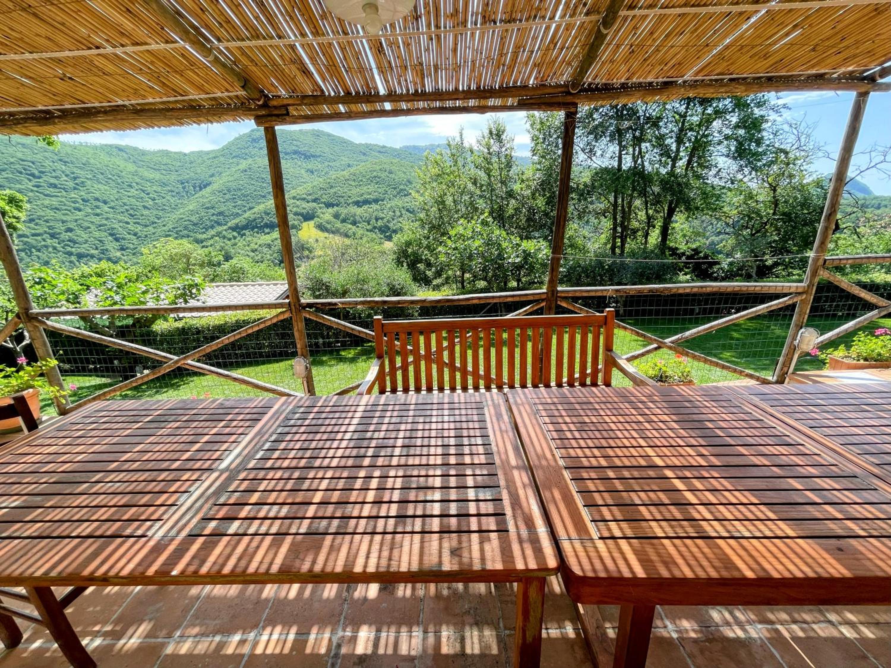 Photo 98