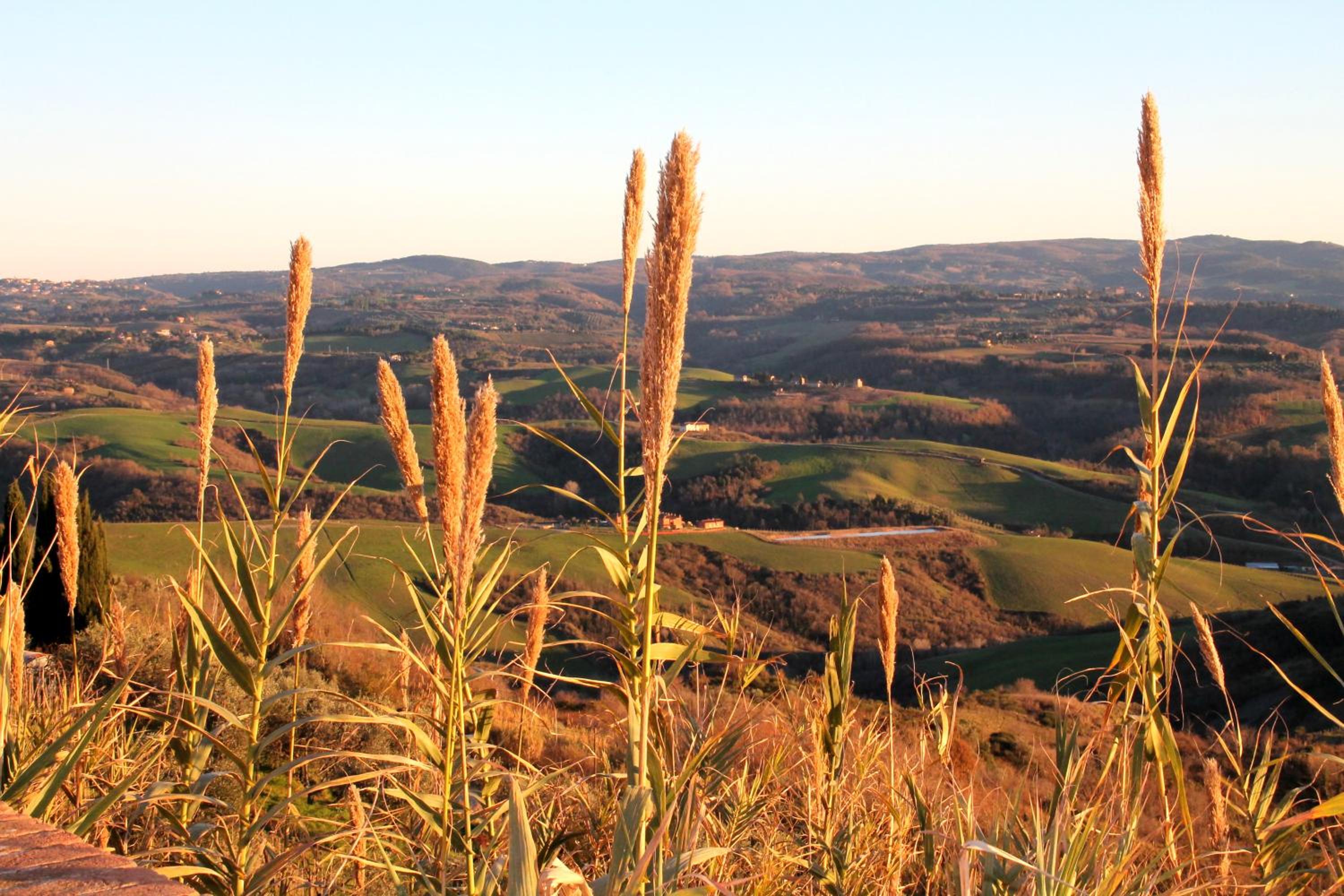 Agriturismo Le Docce