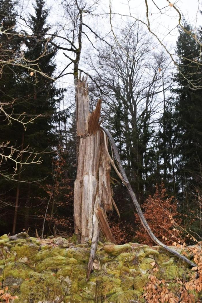 Ängsstugan view 2