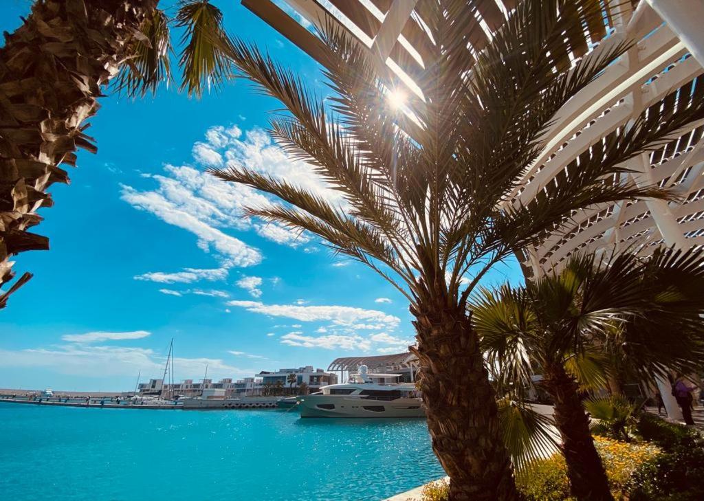Nissi 3 Pool View 2 Bedroom Apartment with Large Veranda