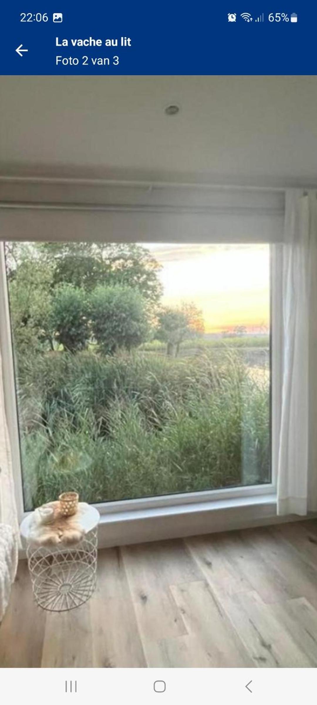La vache au lit