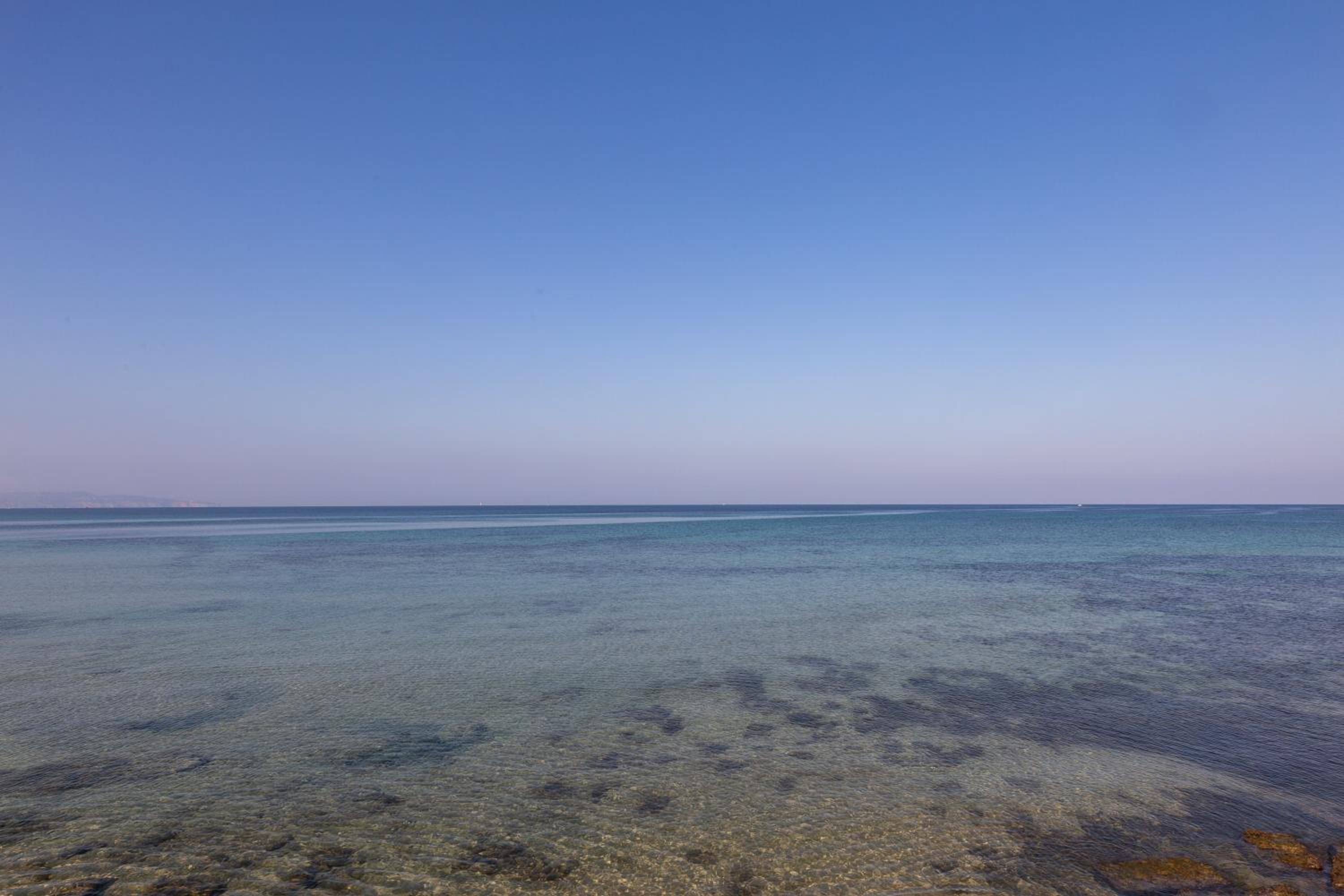 Capitan Trinchetto Agave photo 4